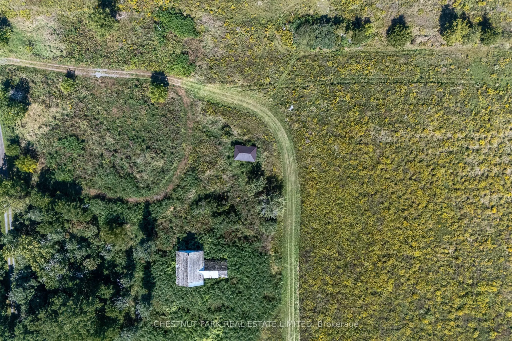 53 MacDonald's Lane