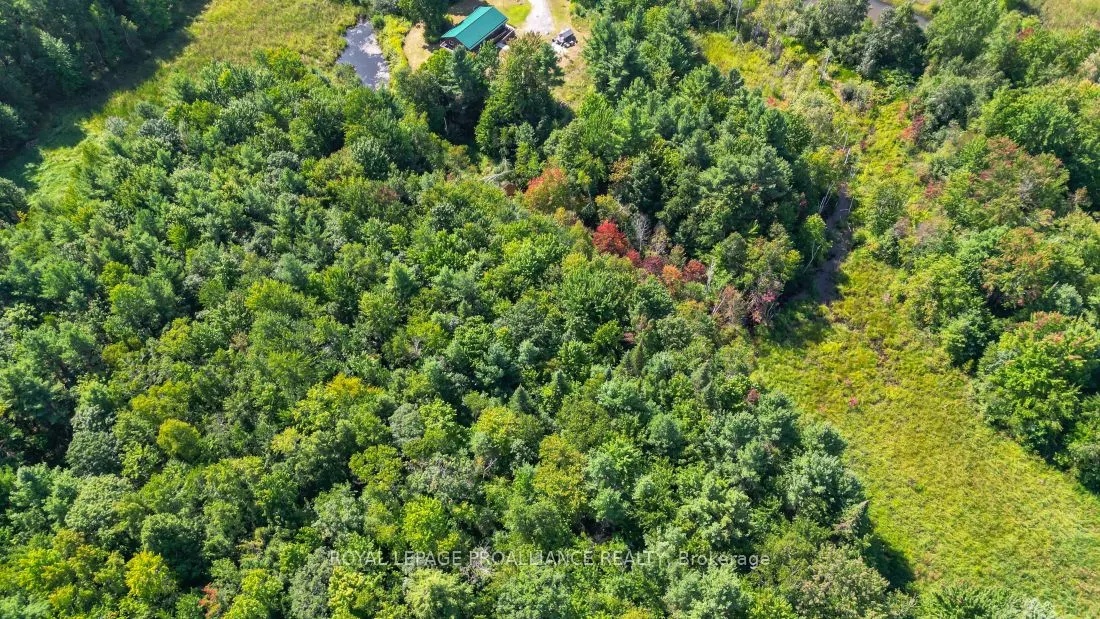 11447 Highway 41