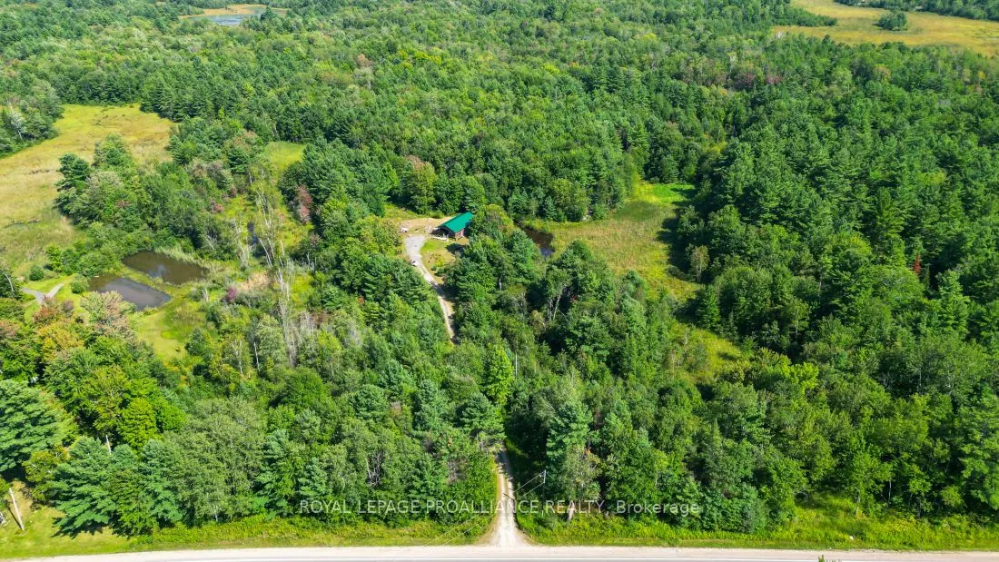 11447 Highway 41