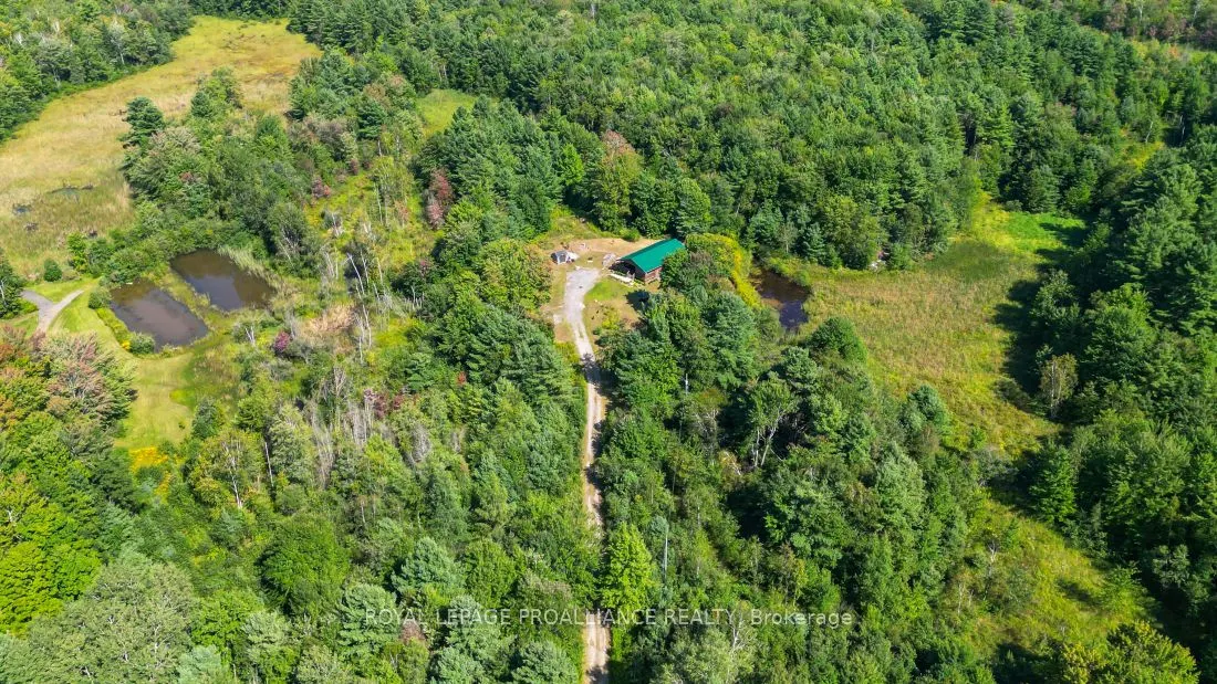 11447 Highway 41