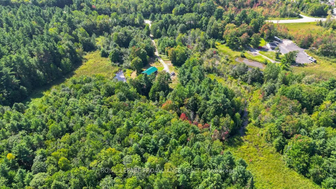 11447 Highway 41