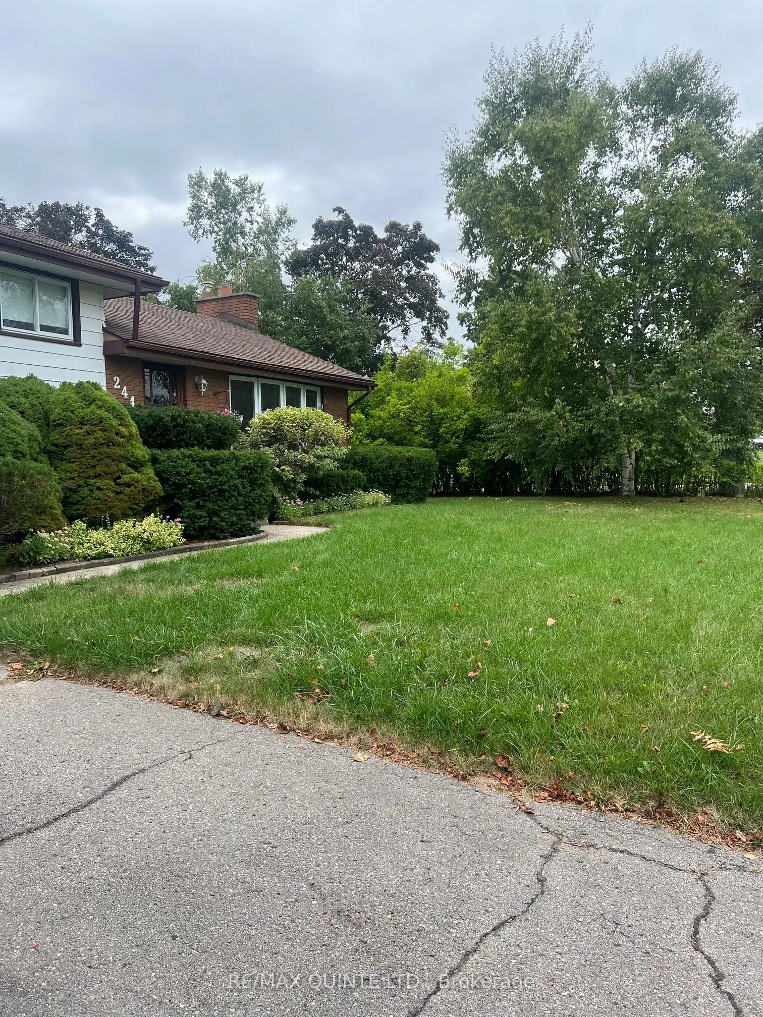 244 McGill Street
