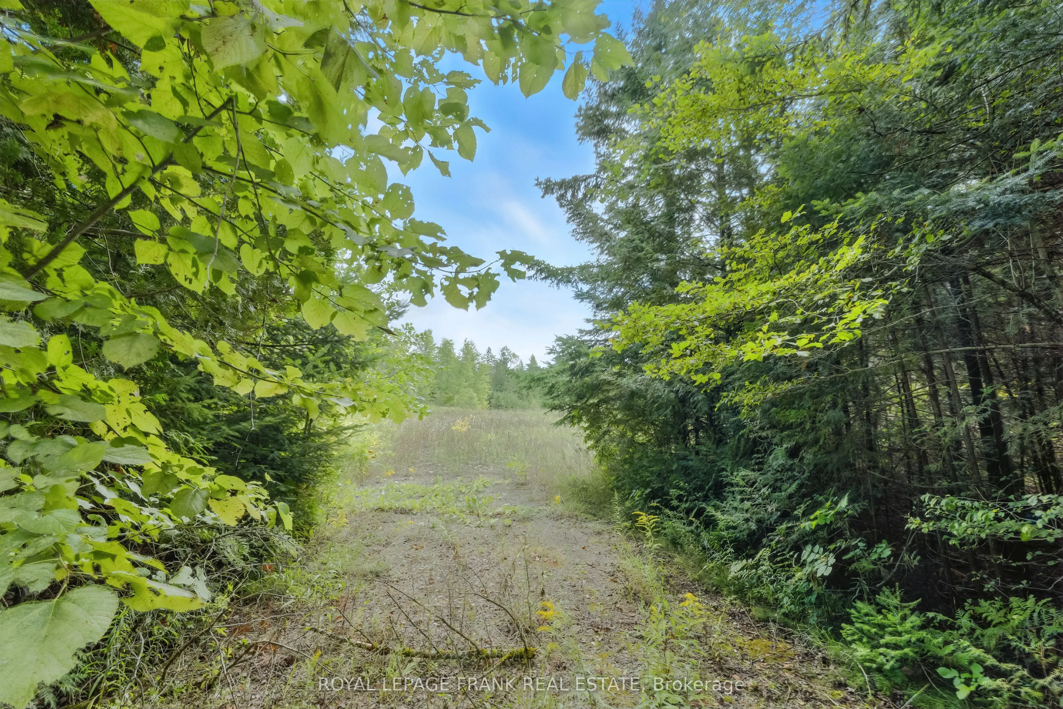 274 Highway 35
