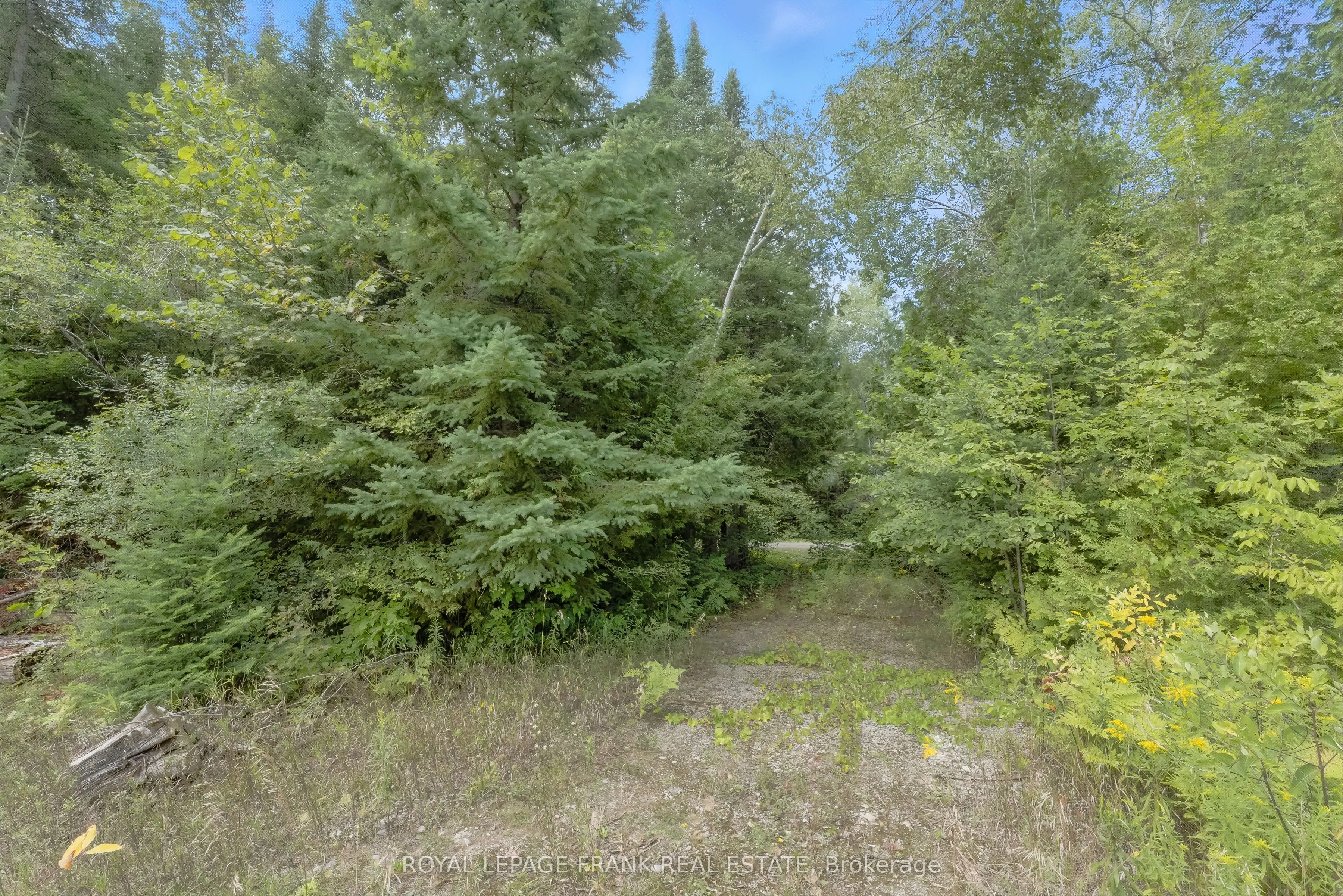 274 Highway 35