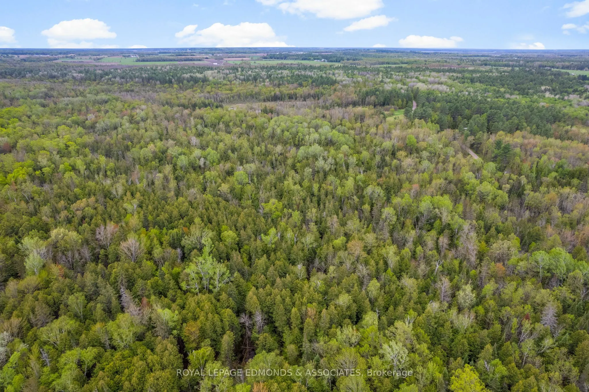 0000 Nangor Trail