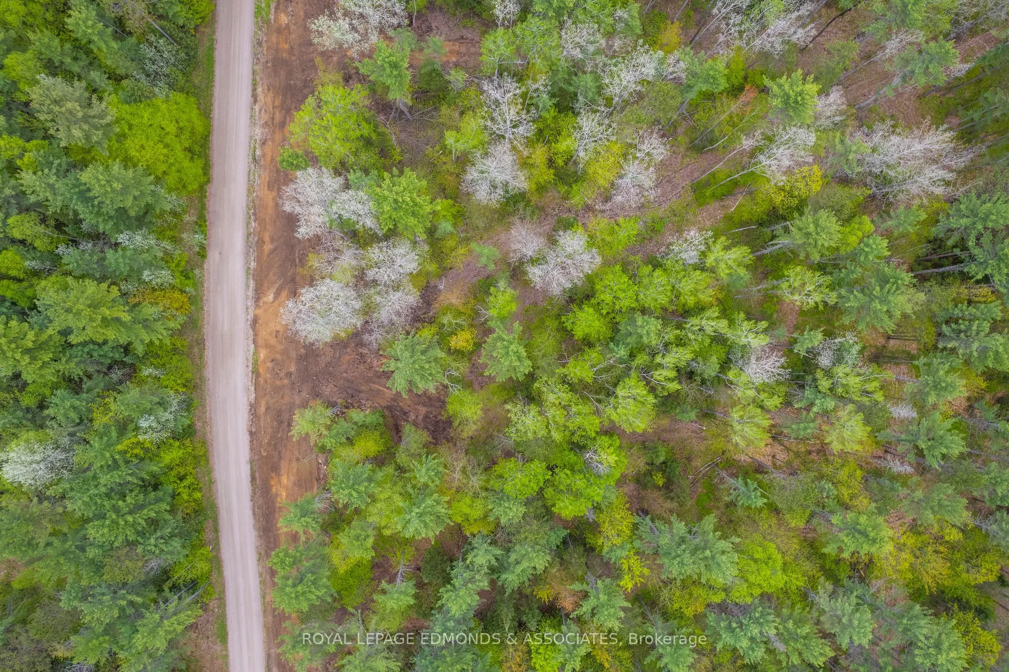 0000 Nangor Trail