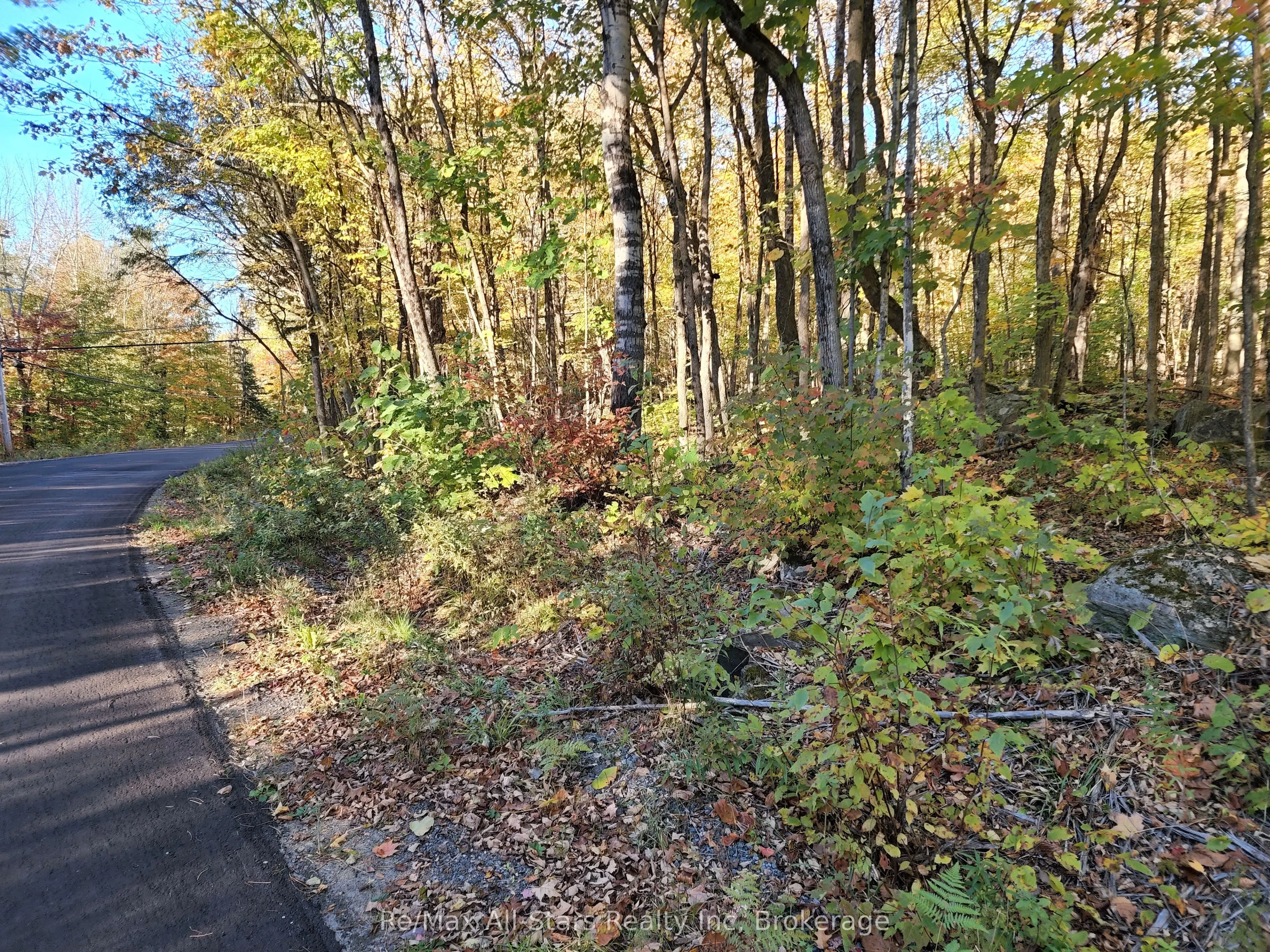A Tally Ho Winter Park Road