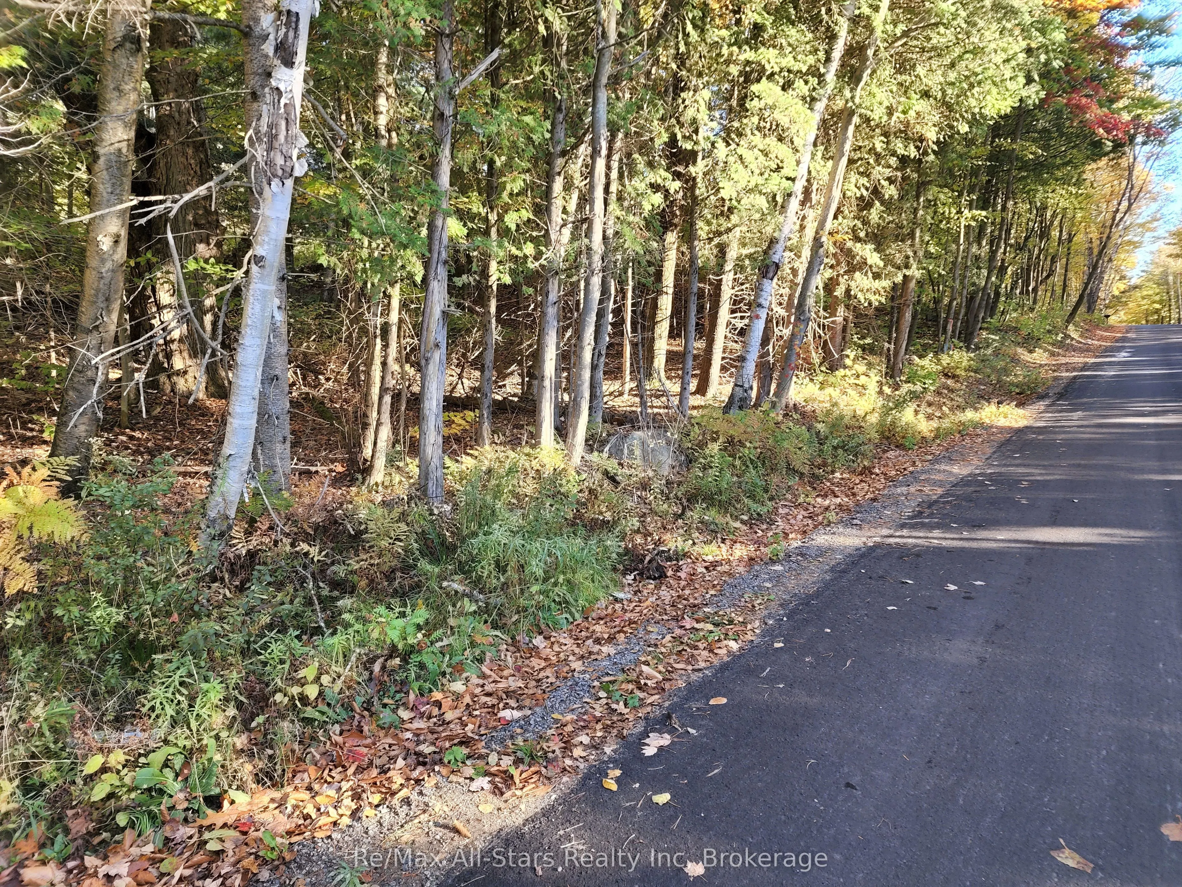 A Tally Ho Winter Park Road