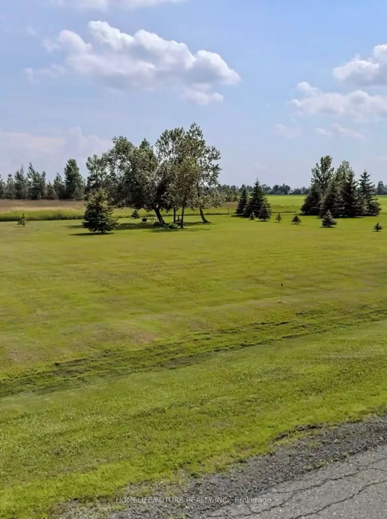 15 County Road, #43