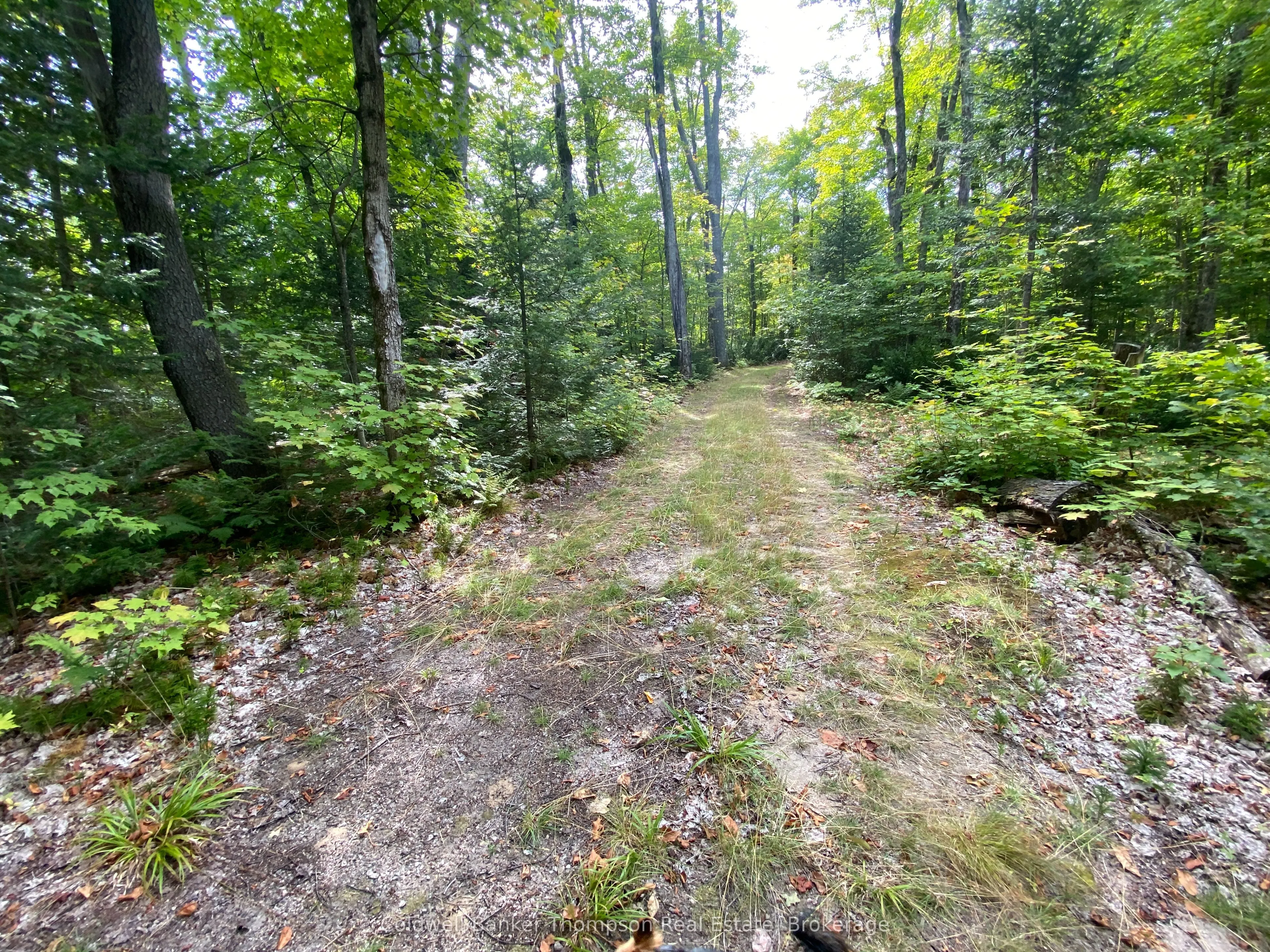 61 Andy Neville Parkway