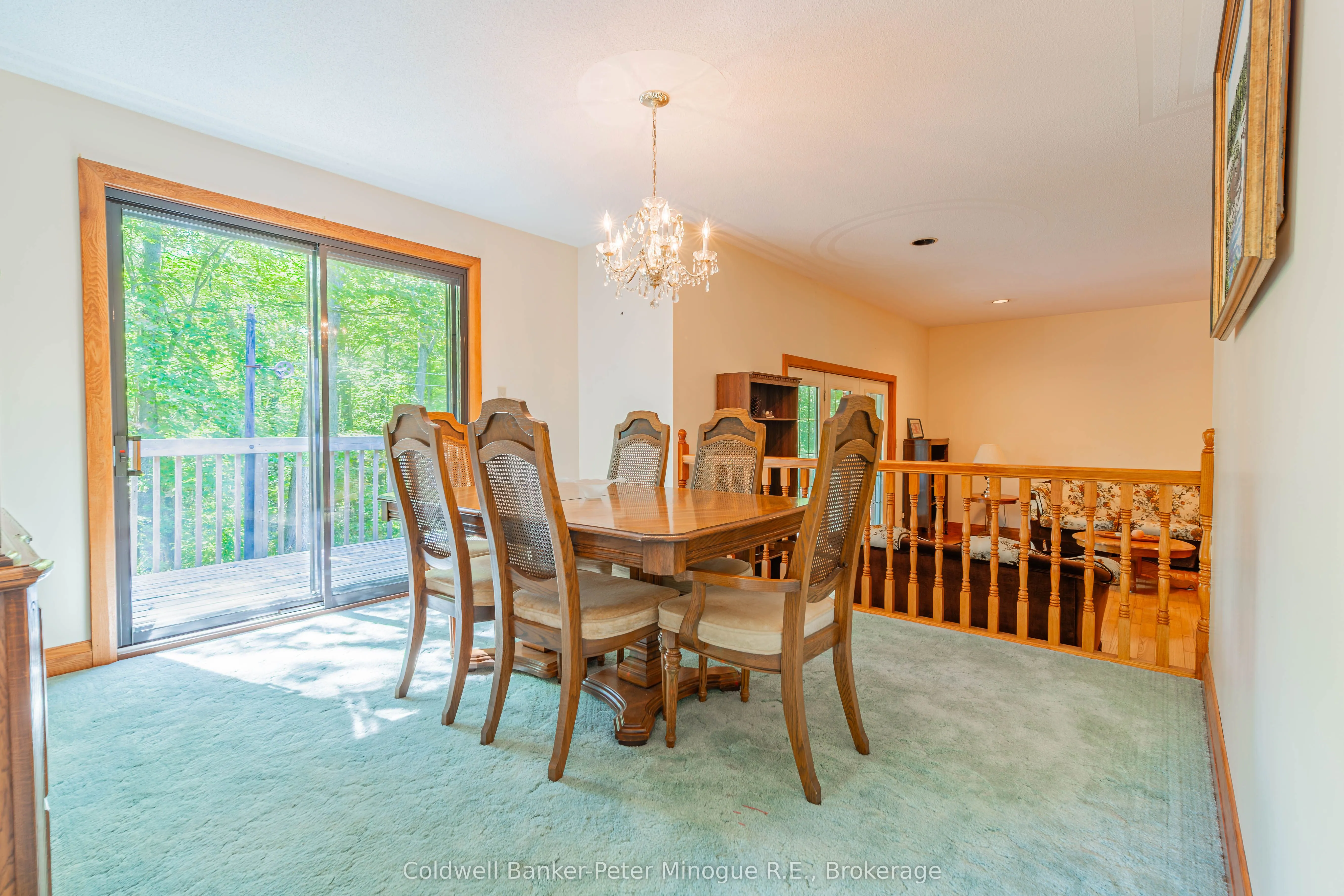 81 Hazelton Lane