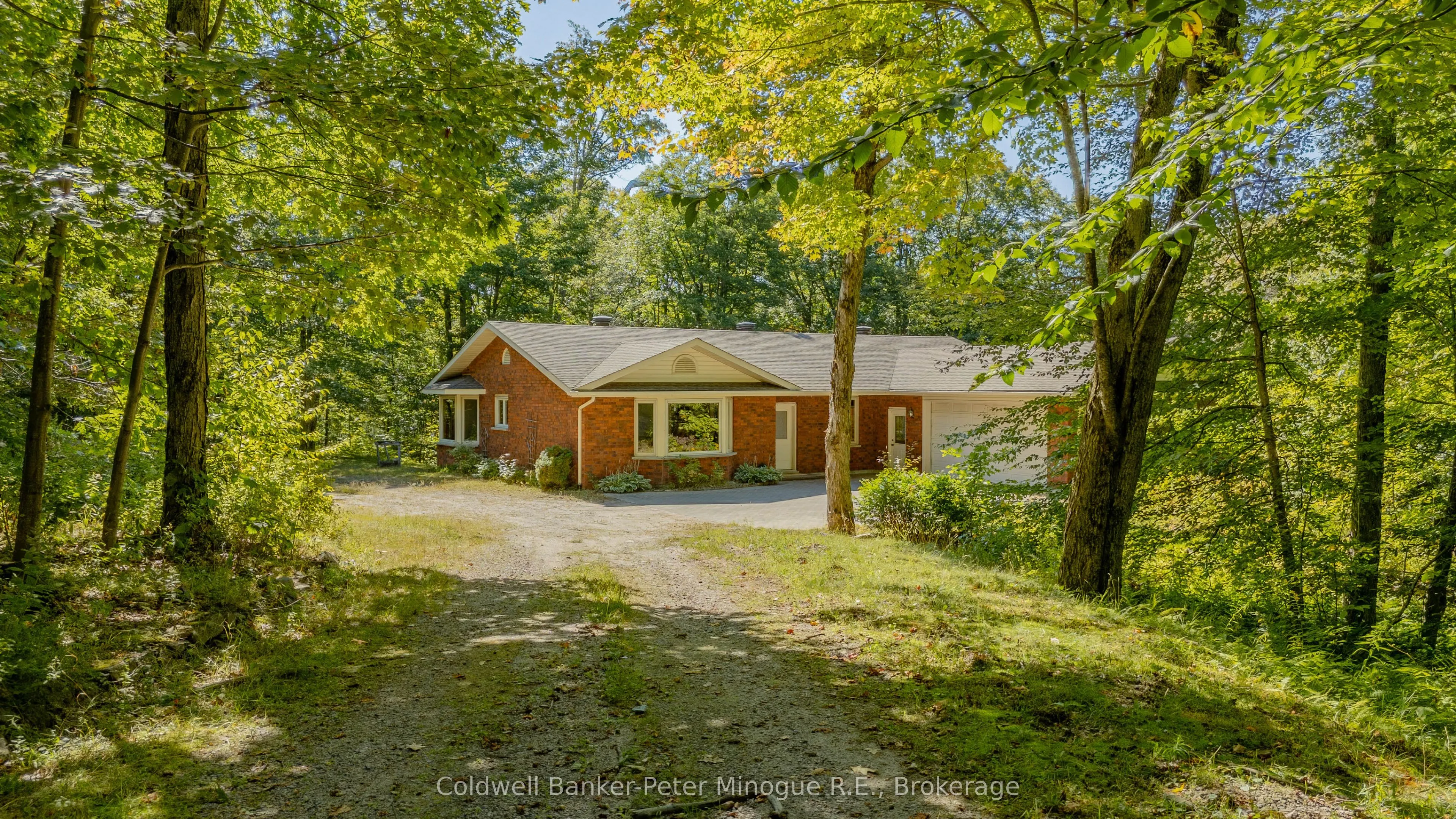 81 Hazelton Lane