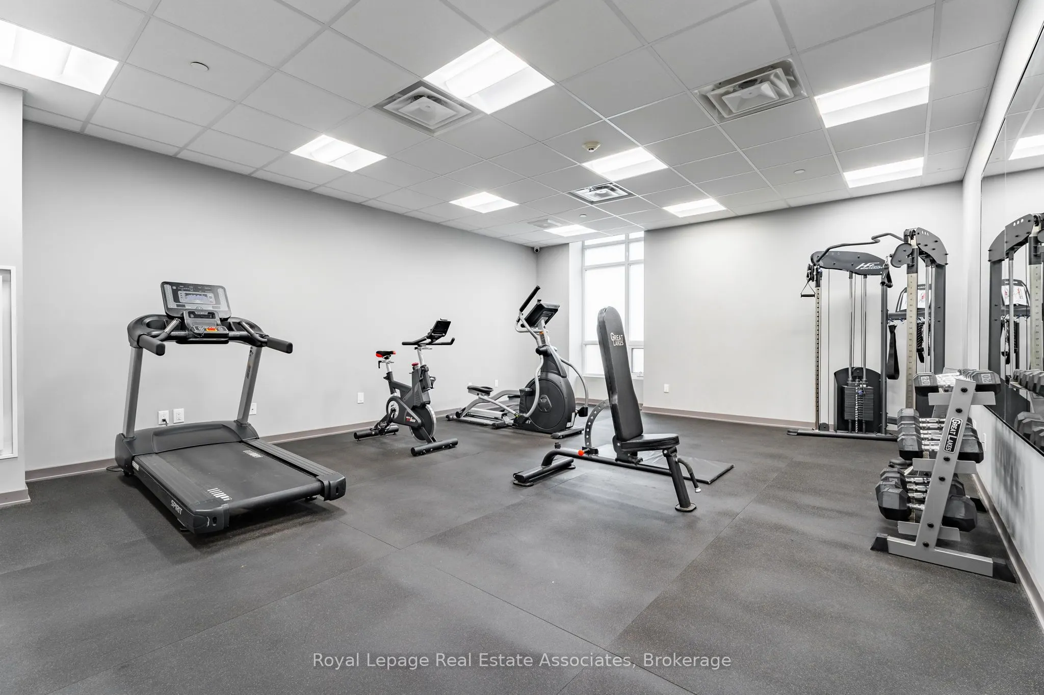 81 Robinson Street, #1106
