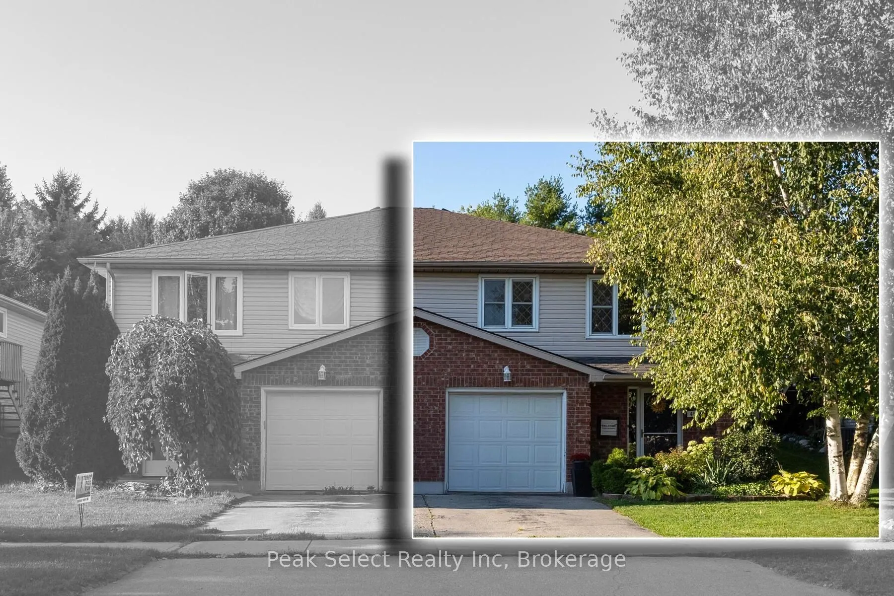 41 Southvale Road