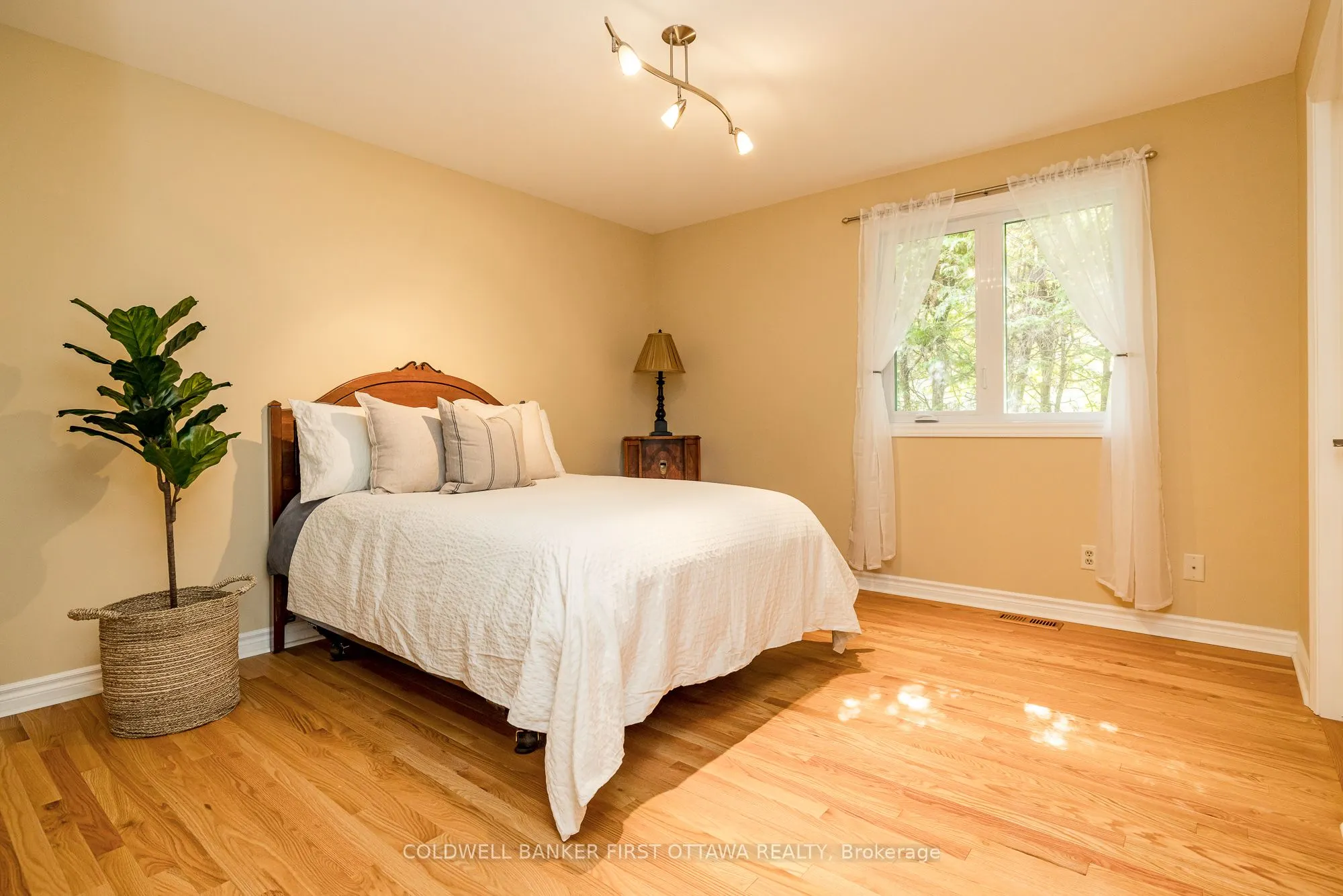 9 Lone Meadow Trail