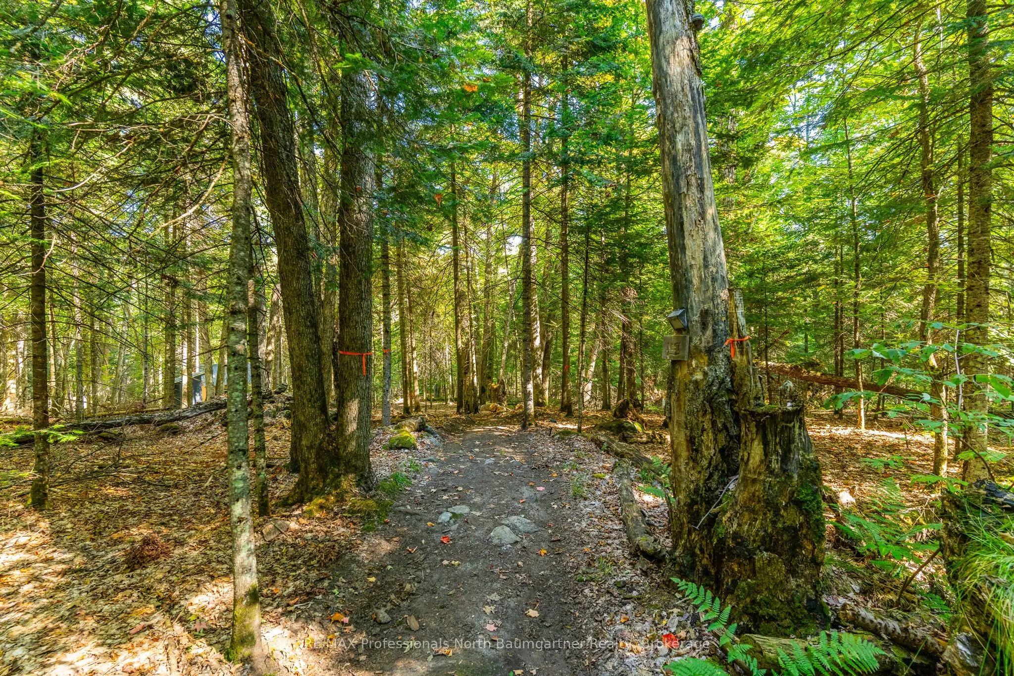 LOT 40 Basshaunt Lake Road
