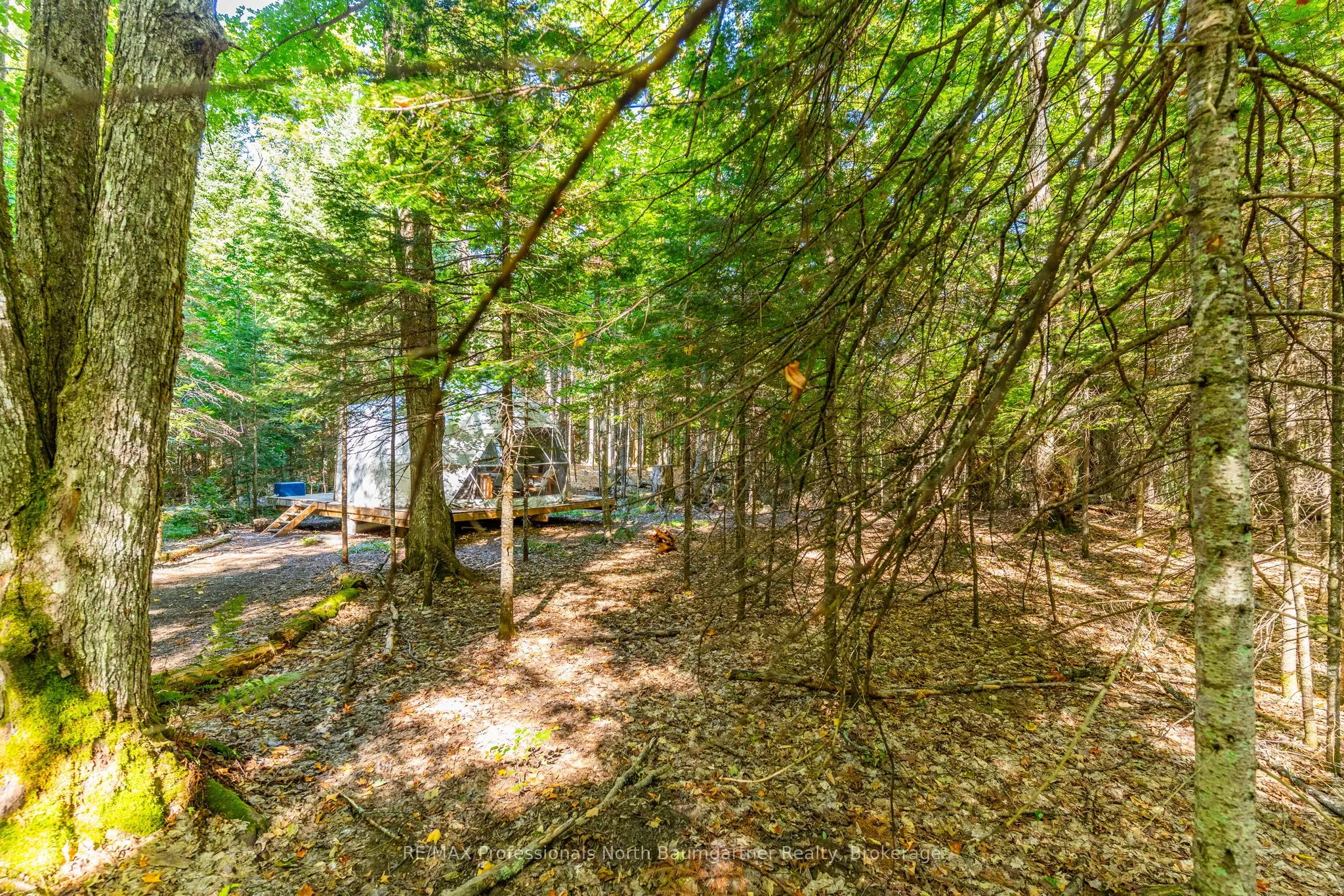 LOT 40 Basshaunt Lake Road