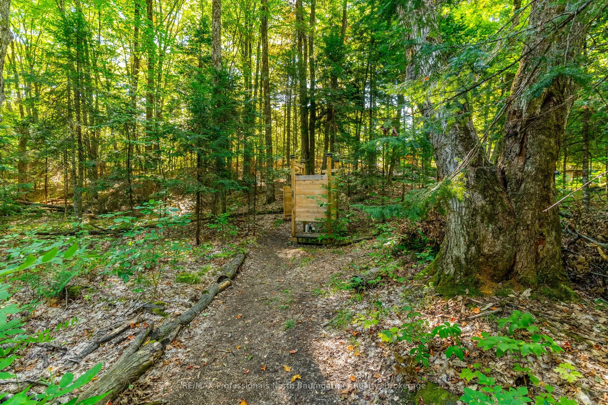 LOT 40 Basshaunt Lake Road