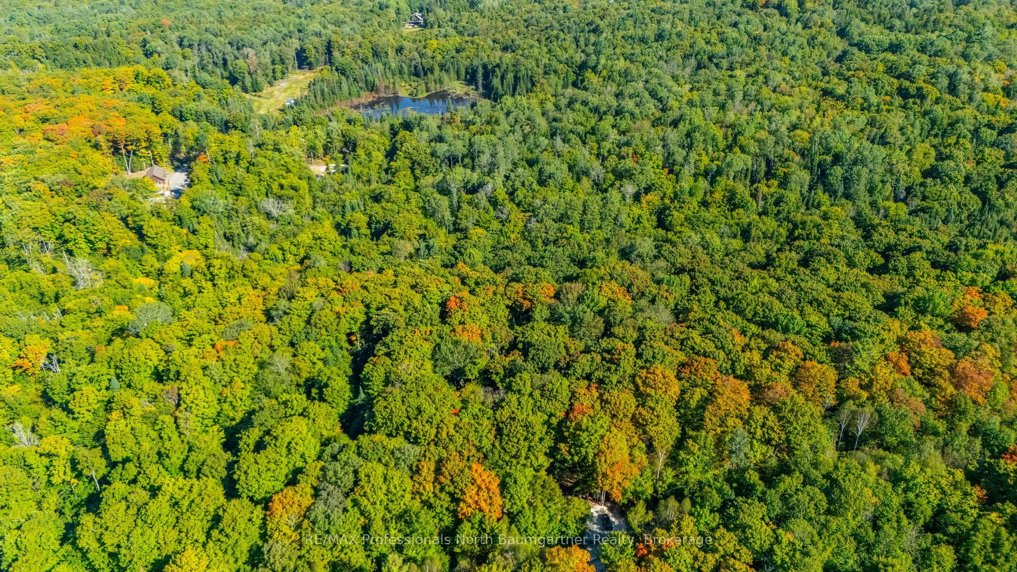 LOT 40 Basshaunt Lake Road
