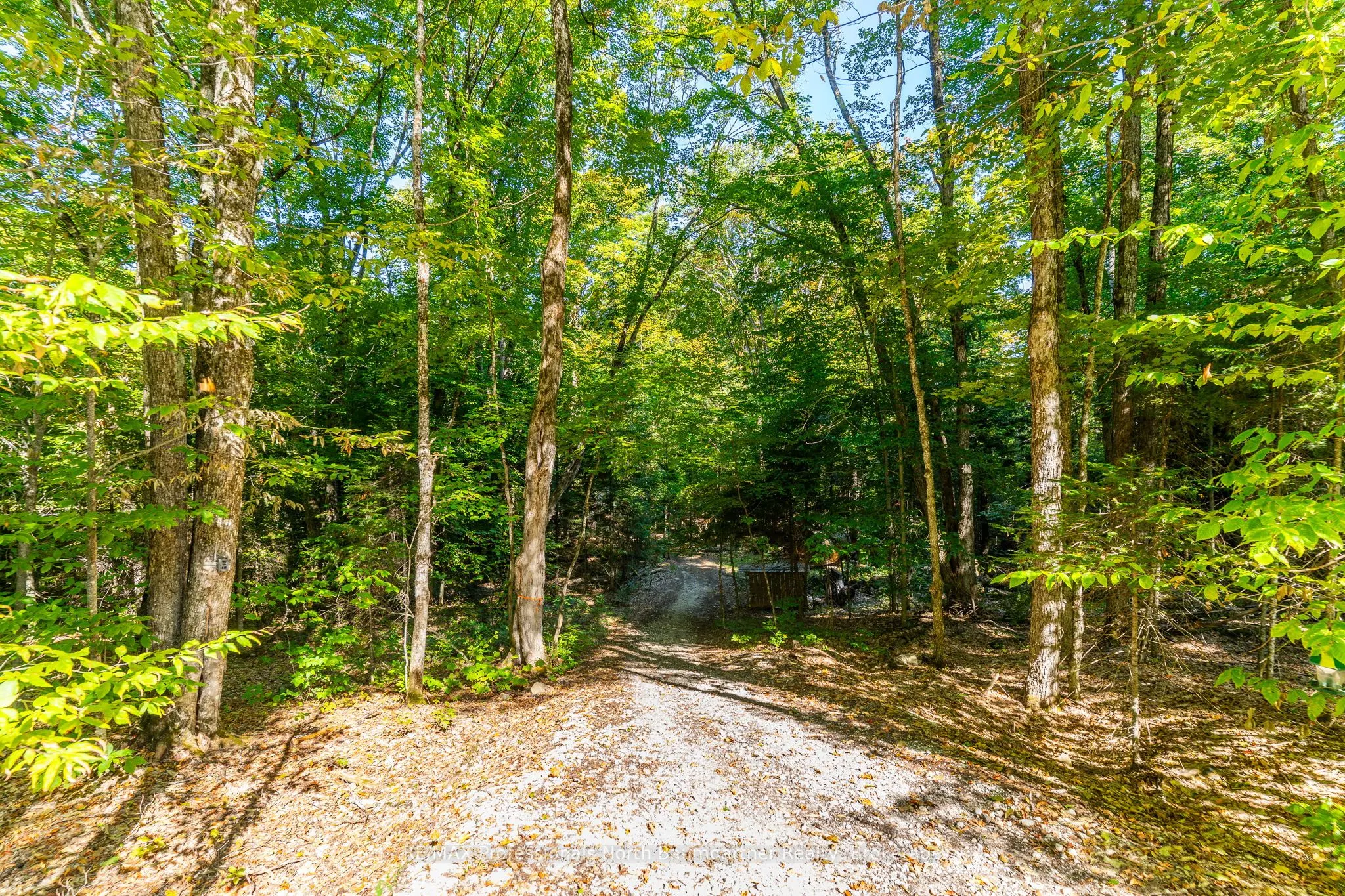 LOT 40 Basshaunt Lake Road