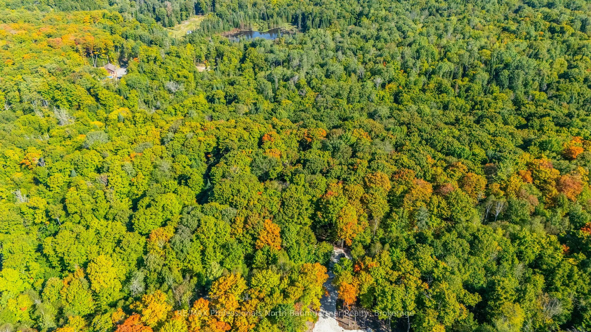 LOT 40 Basshaunt Lake Road
