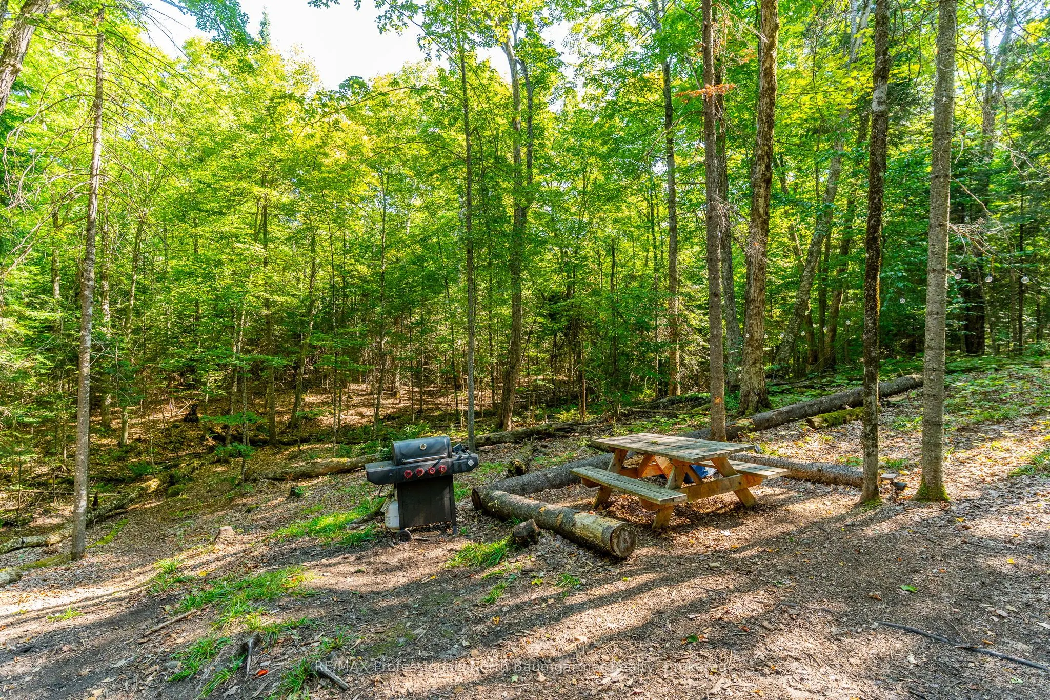 LOT 40 Basshaunt Lake Road