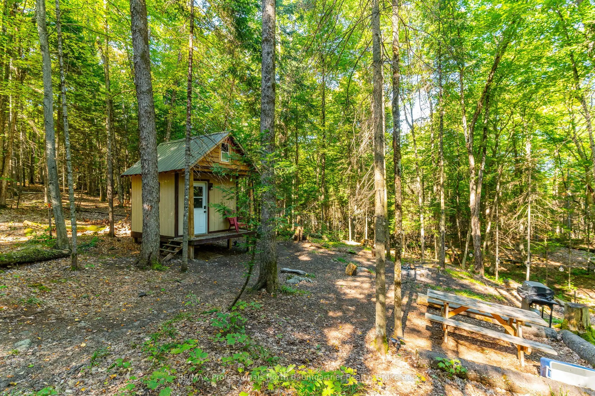 LOT 40 Basshaunt Lake Road