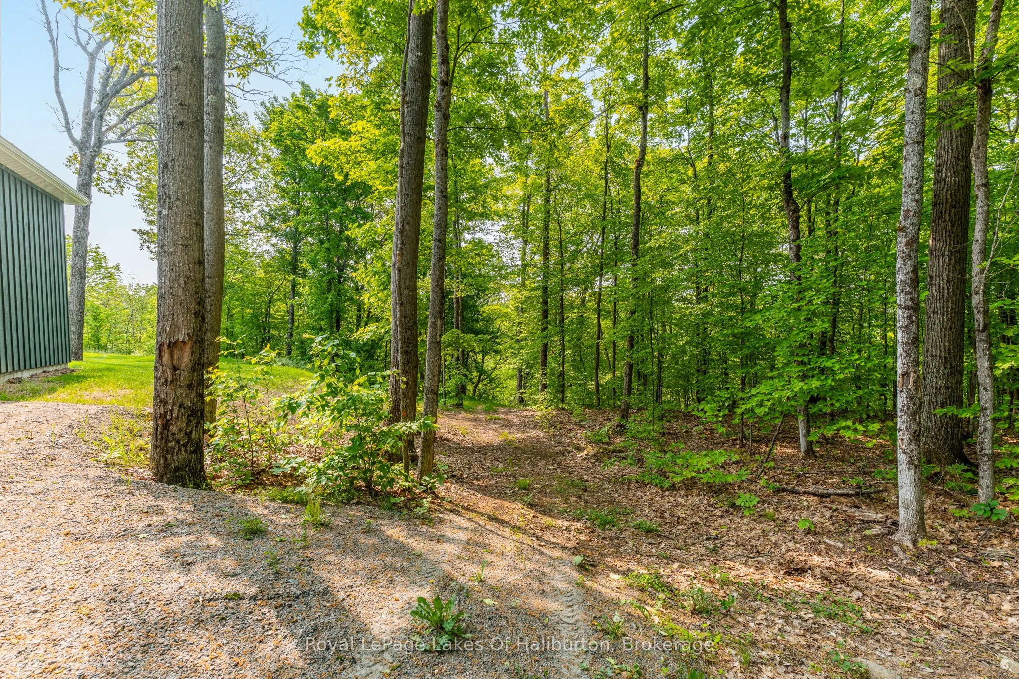 1143 Trillium Trail