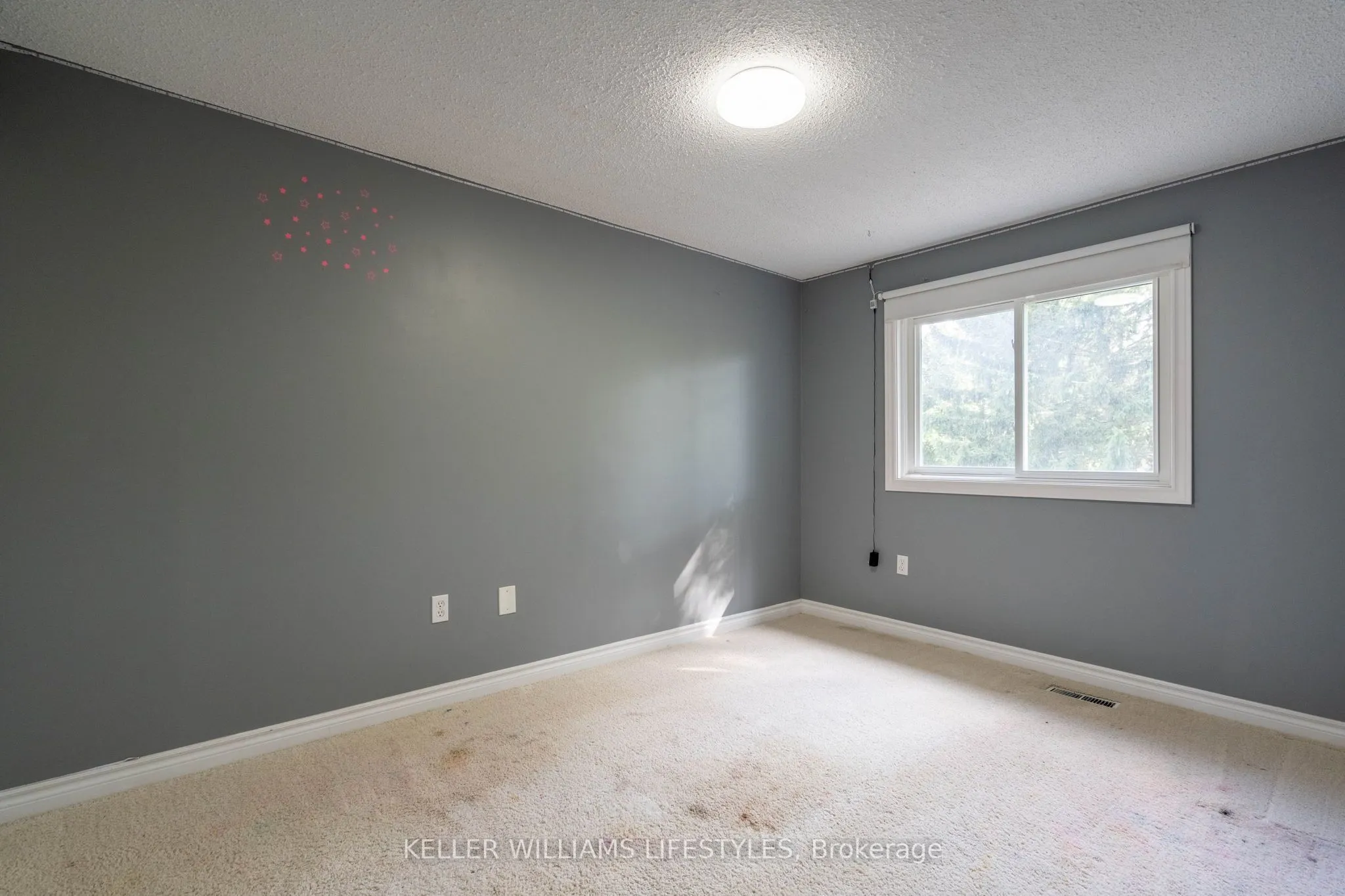 21 Beechbank Crescent