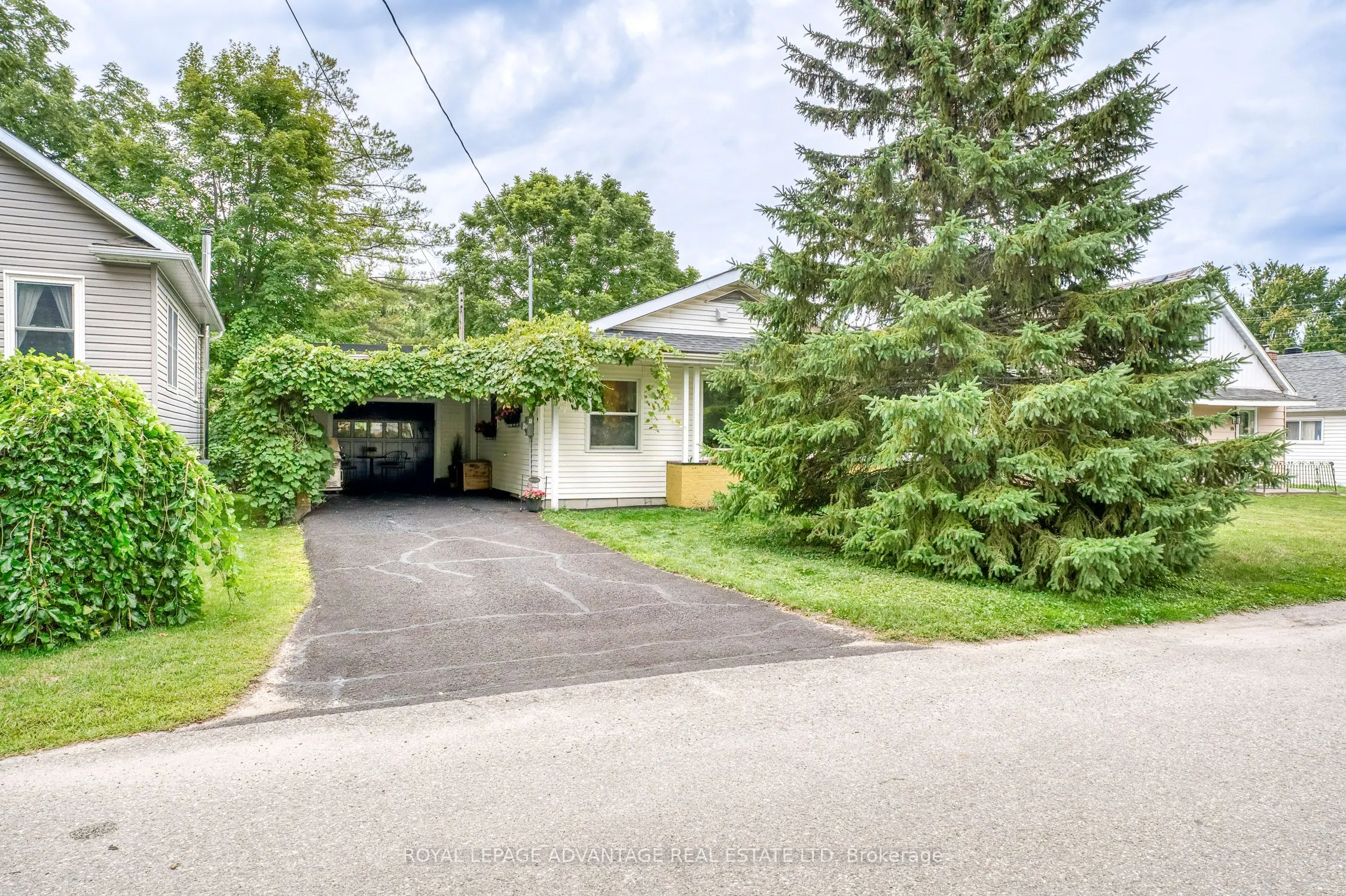 8 George Avenue