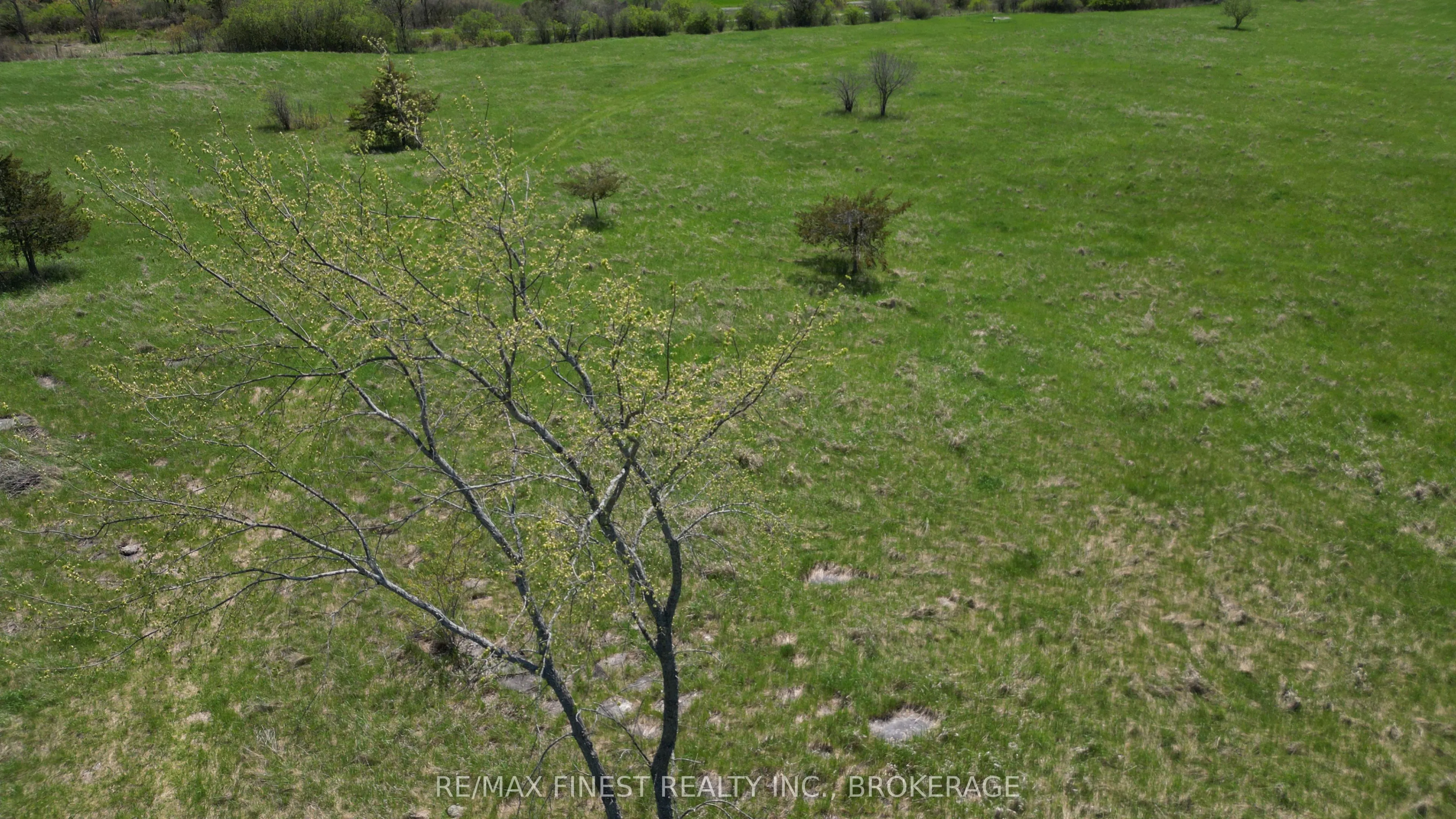 Lot 21 County Road 17 Road