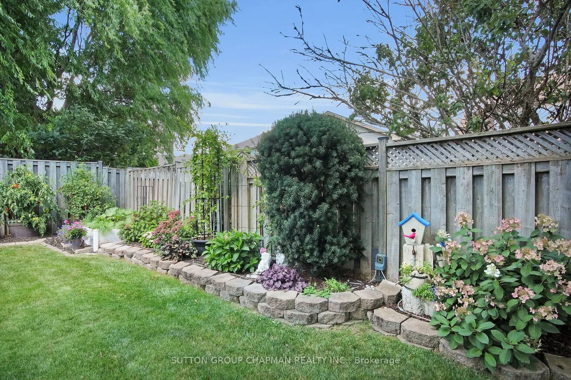 434 Cardigan Drive