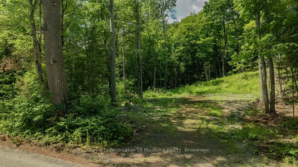 0000 Ril Lake Road