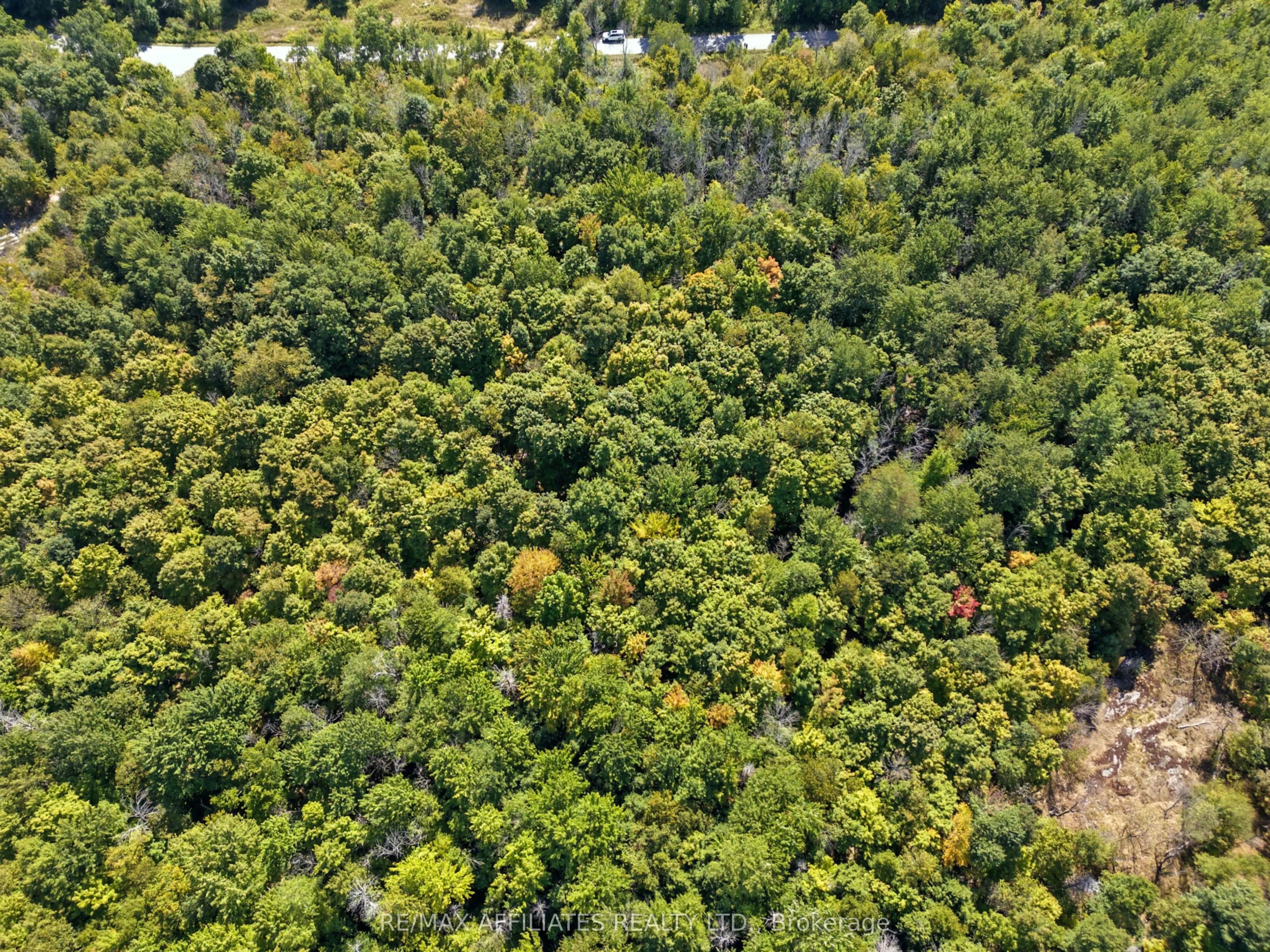 290 Ebbs Bay Road