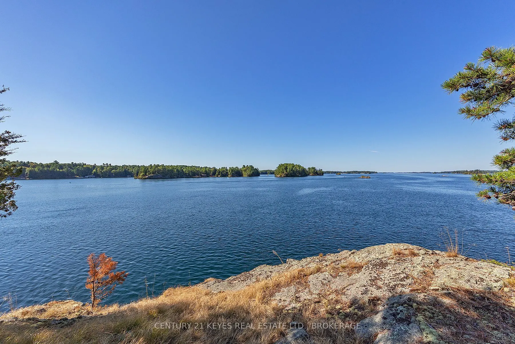 423 Ash Island
