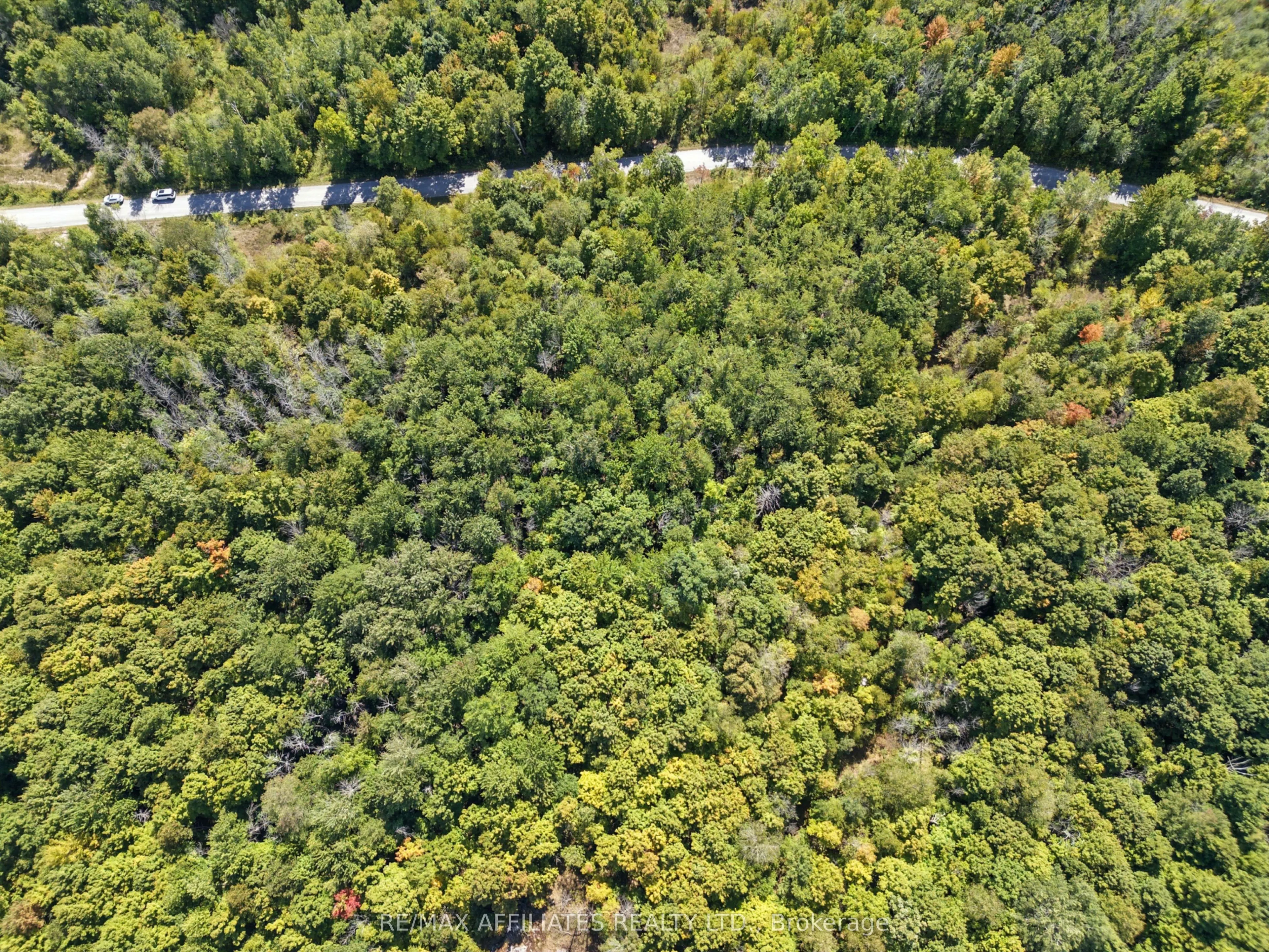 310 Ebbs Bay Road