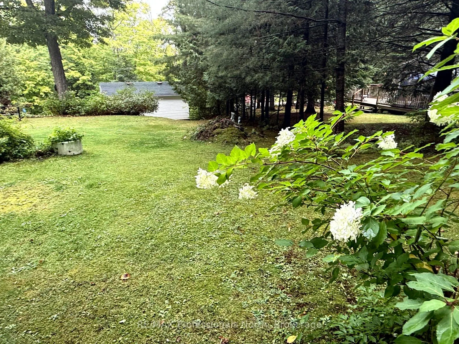 1039 Grace River Road