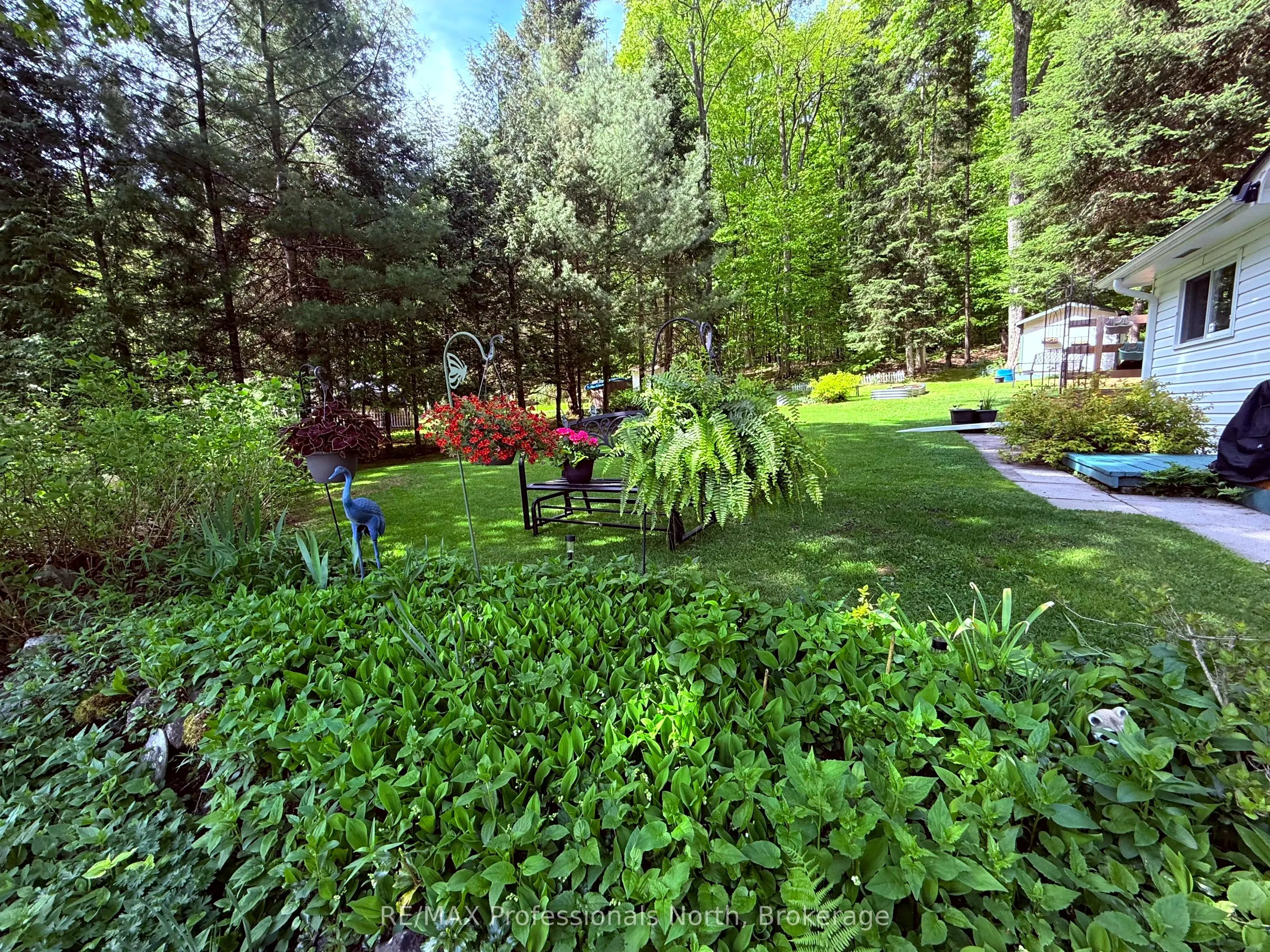 1039 Grace River Road