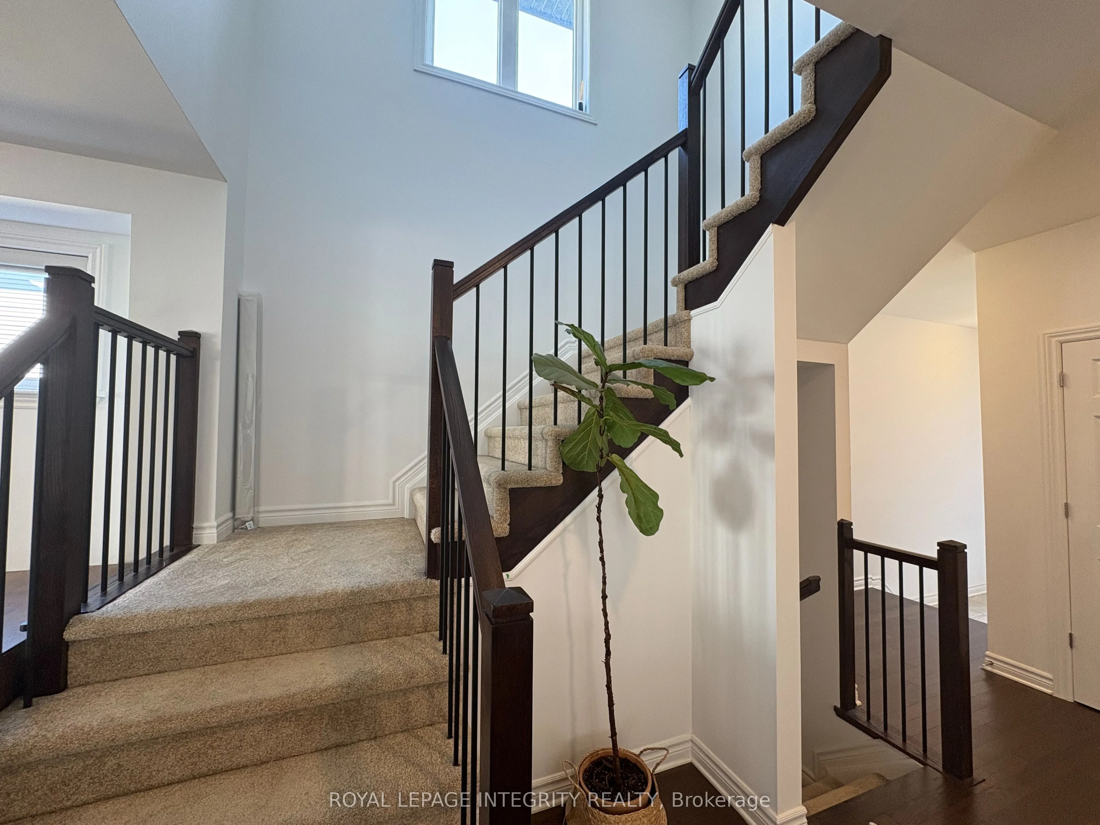 53 WHOOPING CRANE Ridge