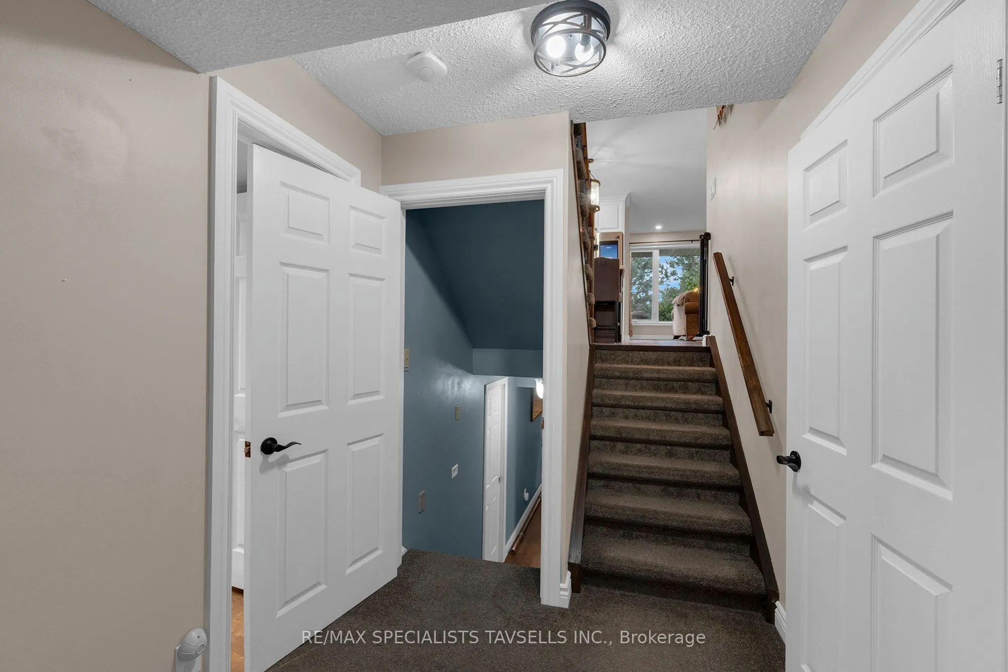 23 Mckibbon Avenue