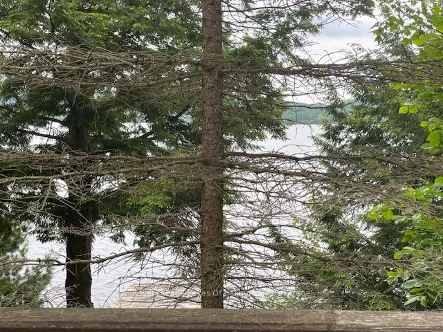 1010 Medley Trail
