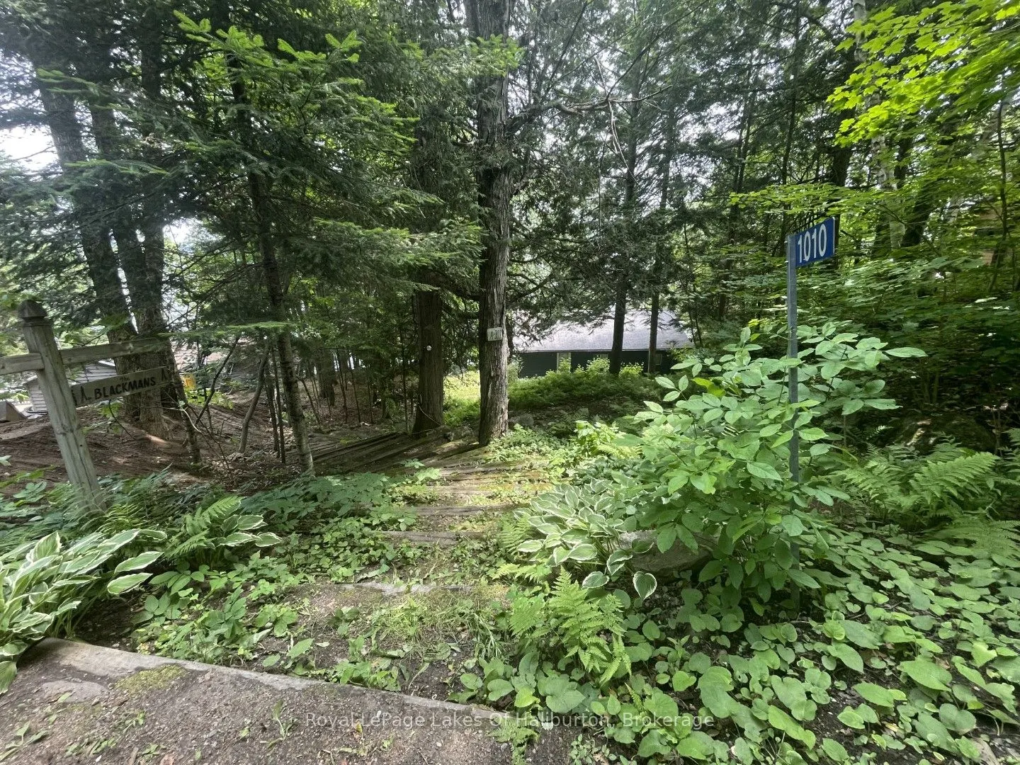 1010 Medley Trail
