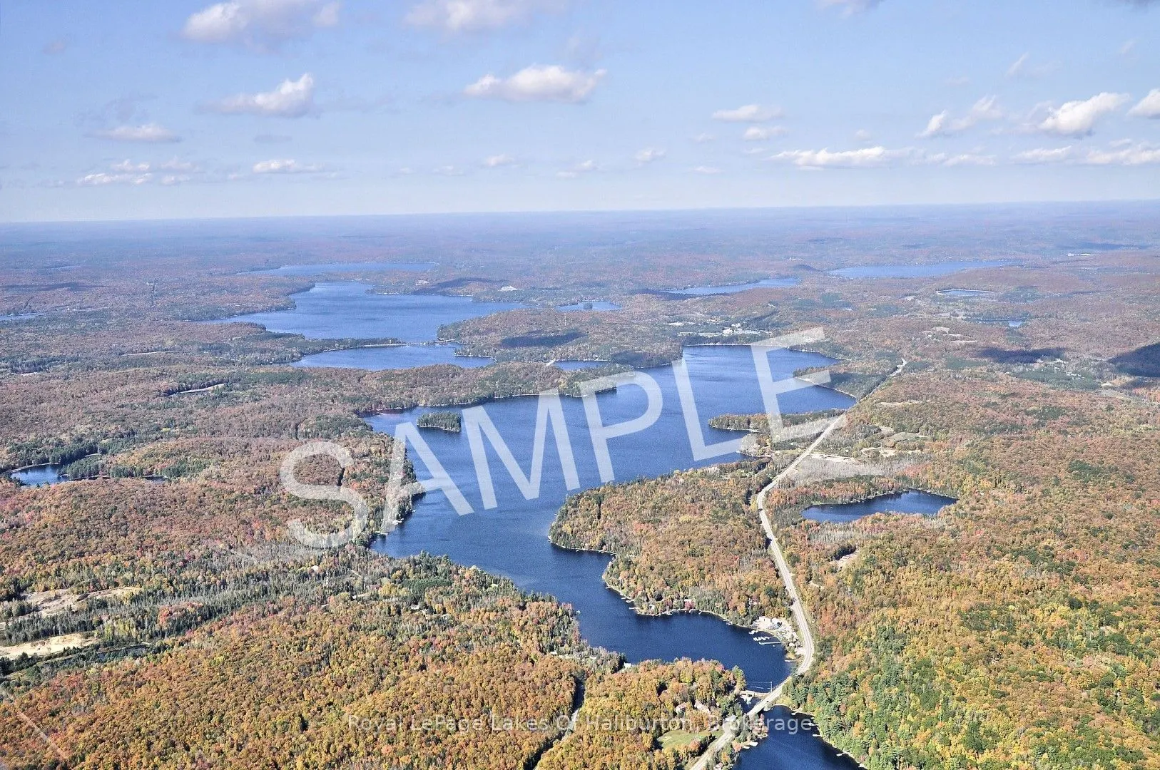 1010 Medley Trail