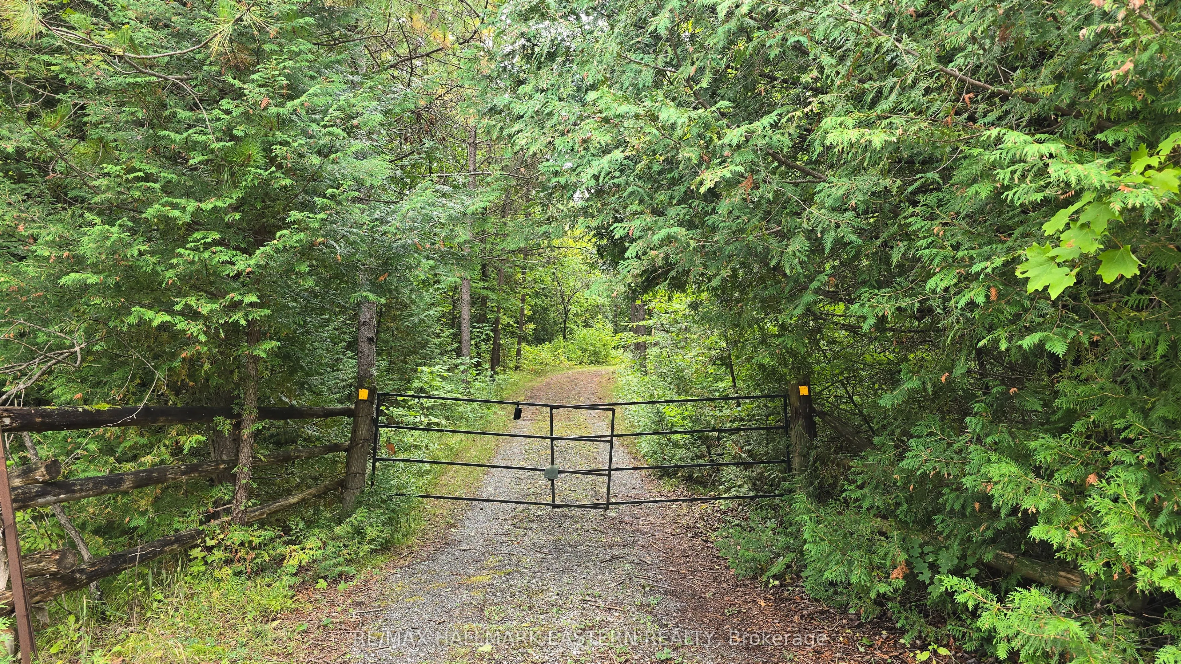 County Road 44