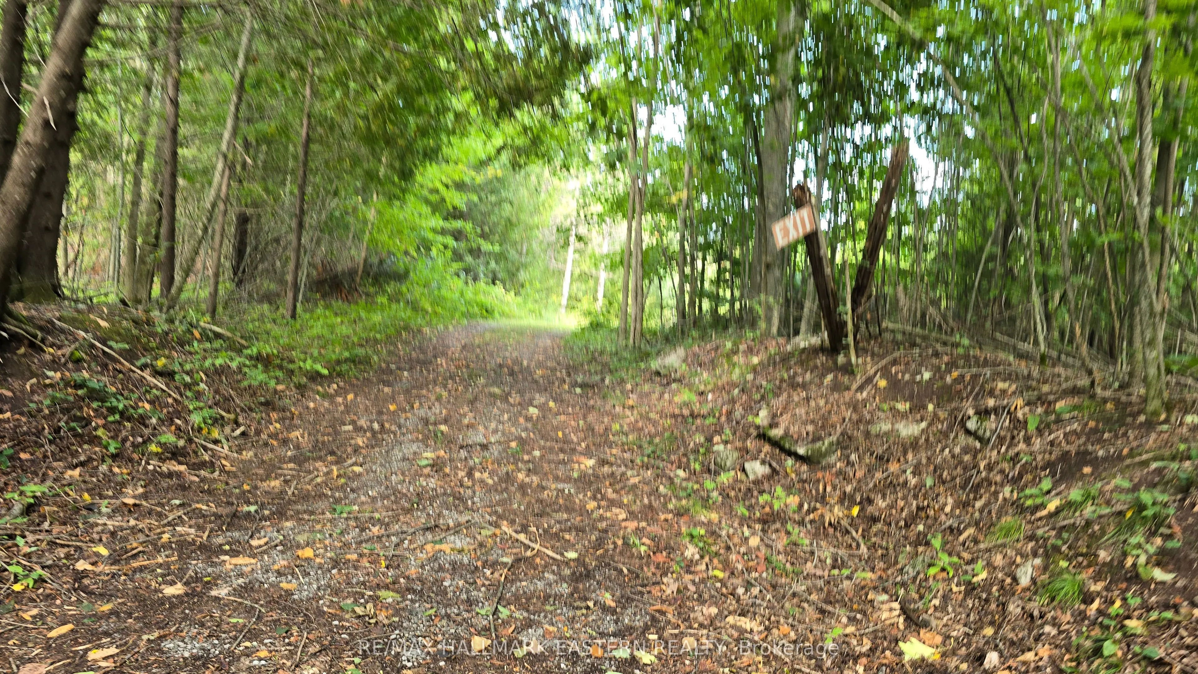 County Road 44