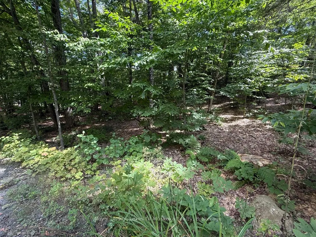 Lot 85 Brennan Circle