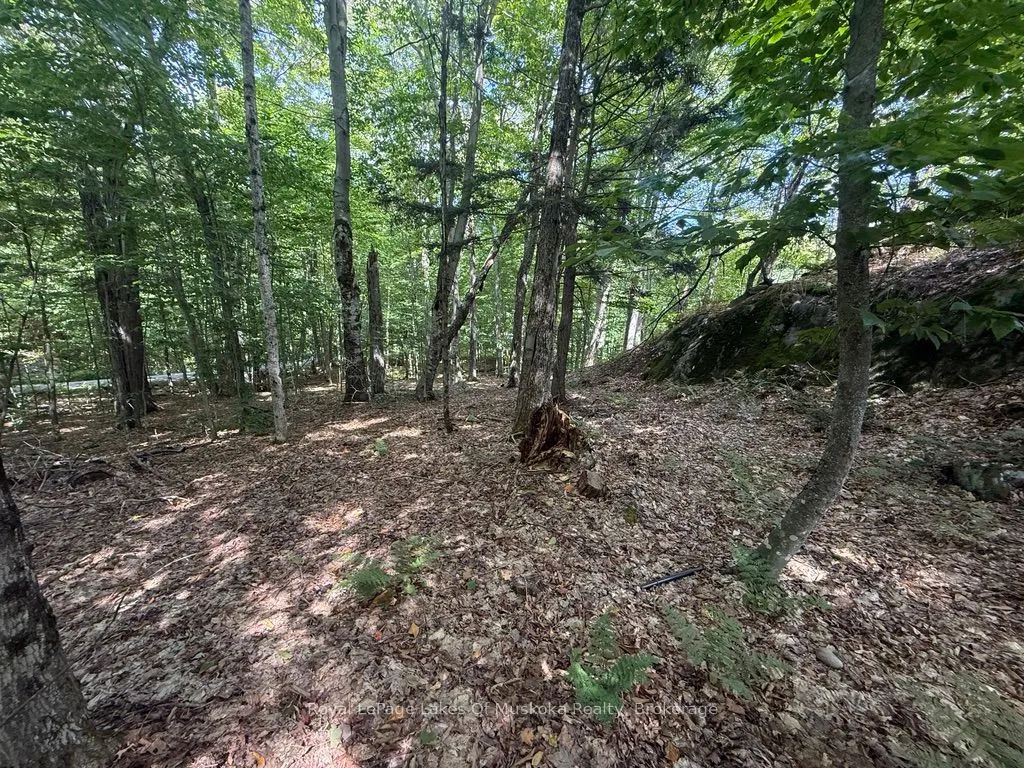 Lot 85 Brennan Circle