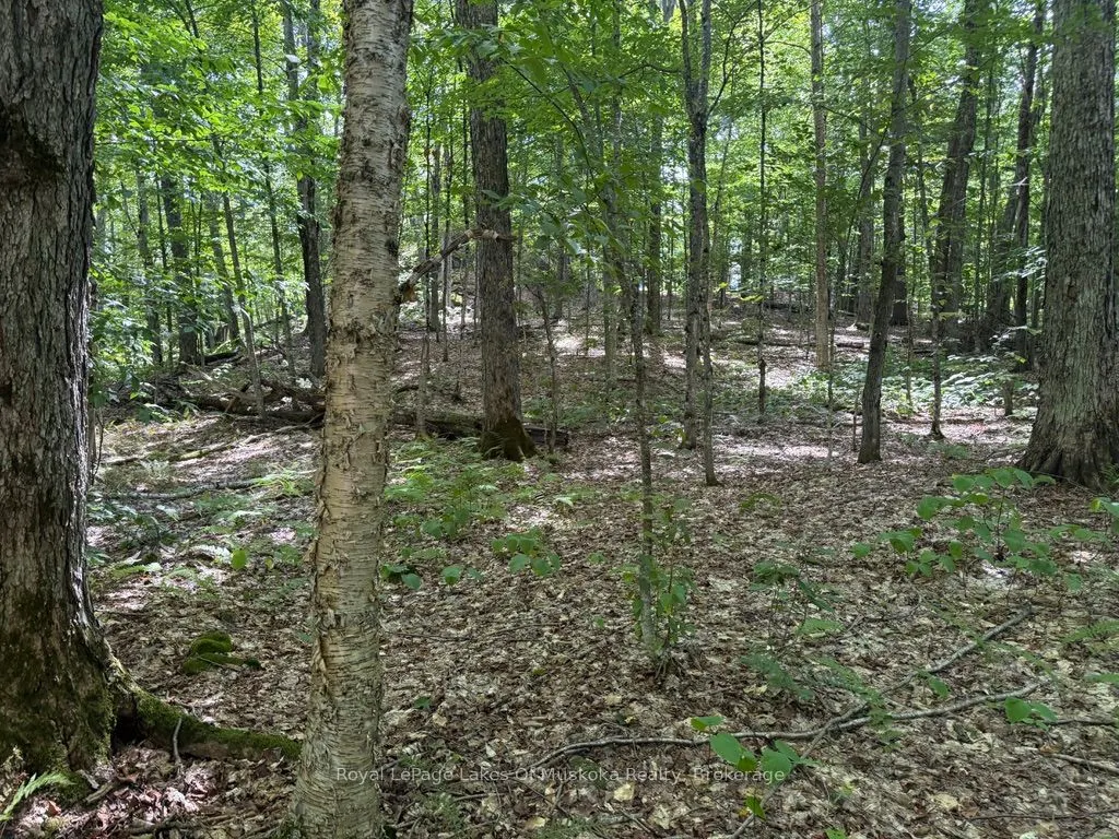 Lot 85 Brennan Circle