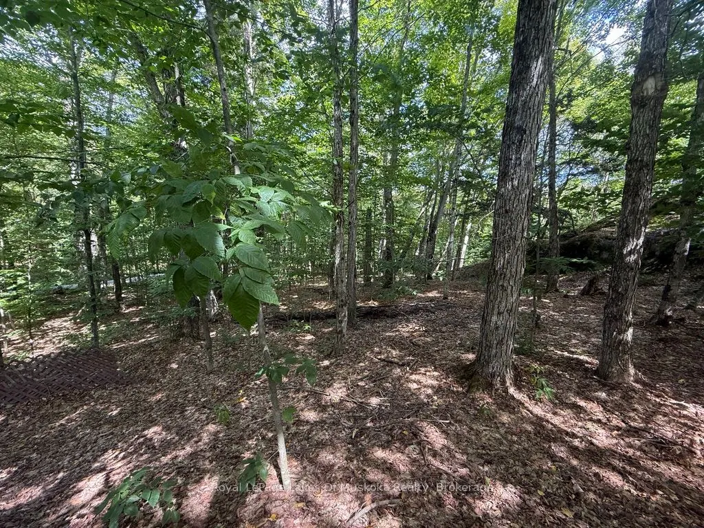 Lot 85 Brennan Circle