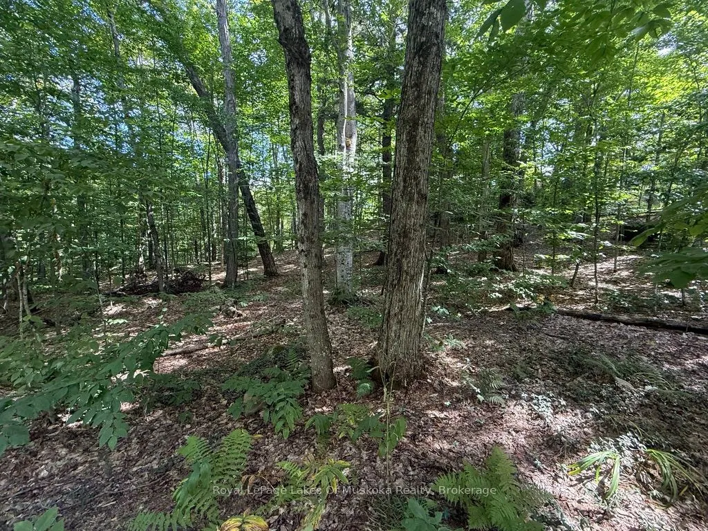 Lot 85 Brennan Circle